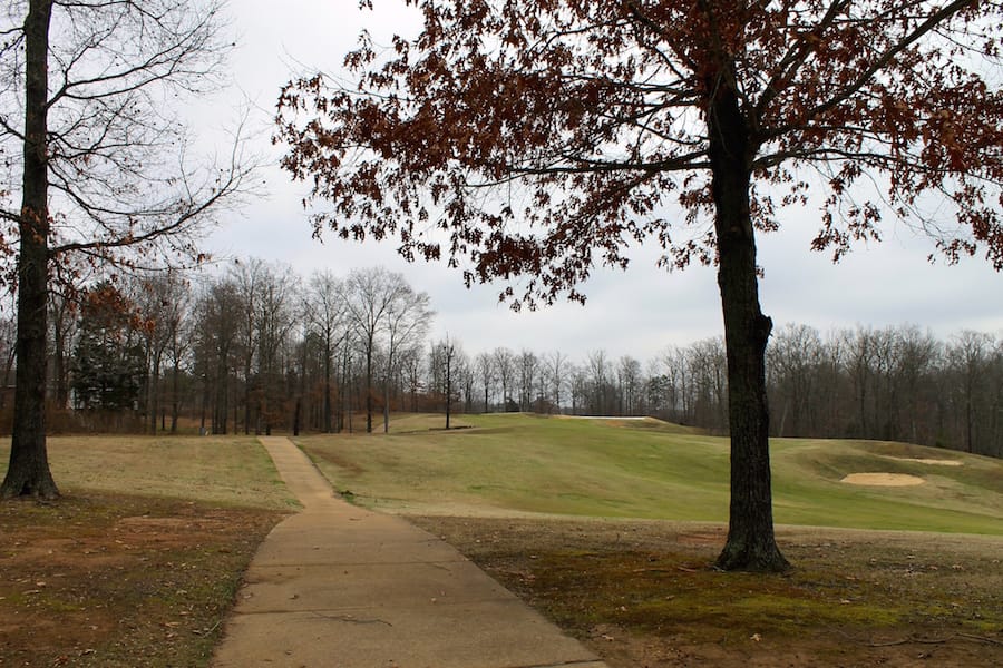 The Tennessean Tract 9 photo 10