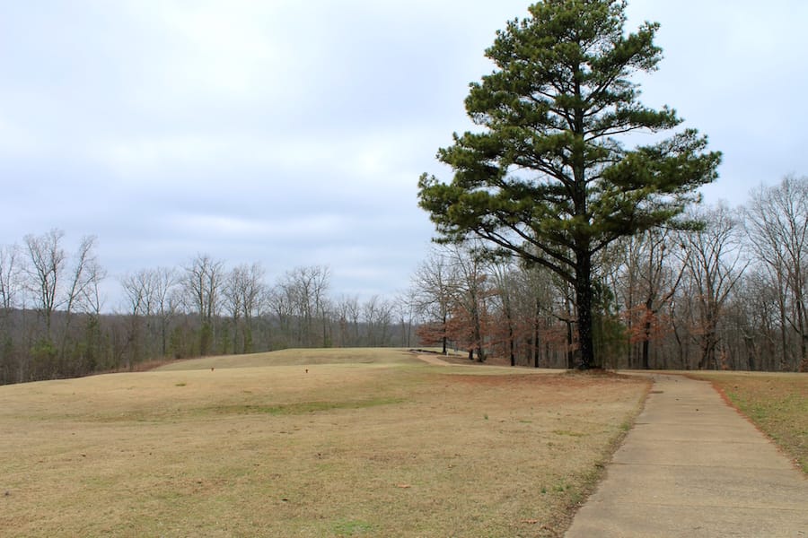 The Tennessean Tract 9 photo 11
