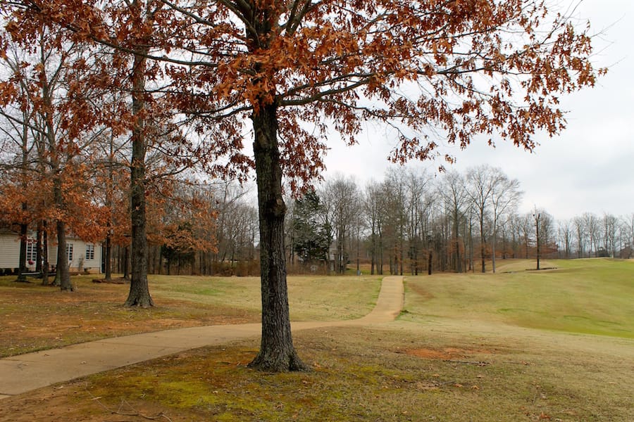 The Tennessean Tract 9 photo 13
