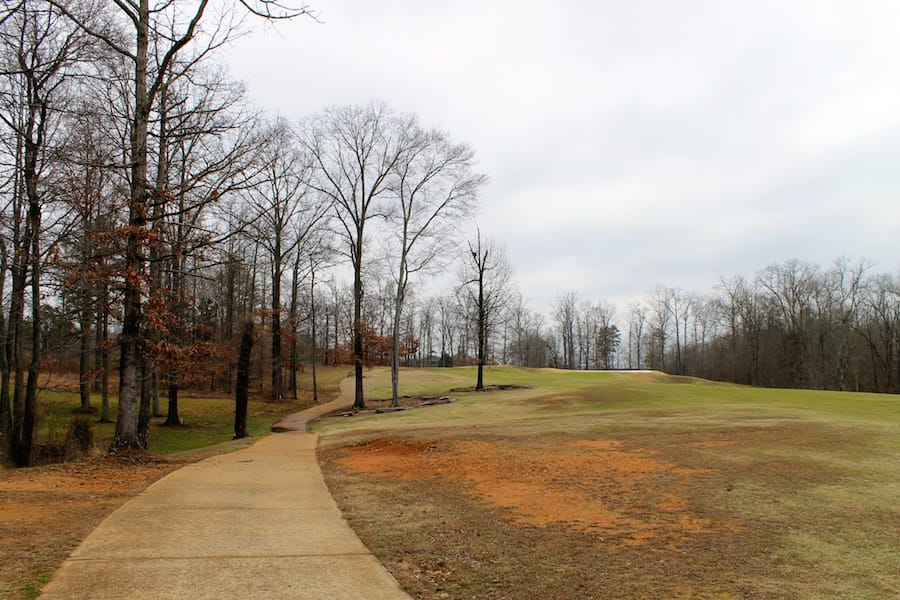 The Tennessean Tract 9 photo 14