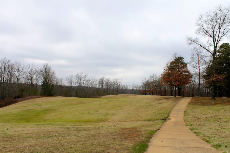 The Tennessean Tract 9 photo 15