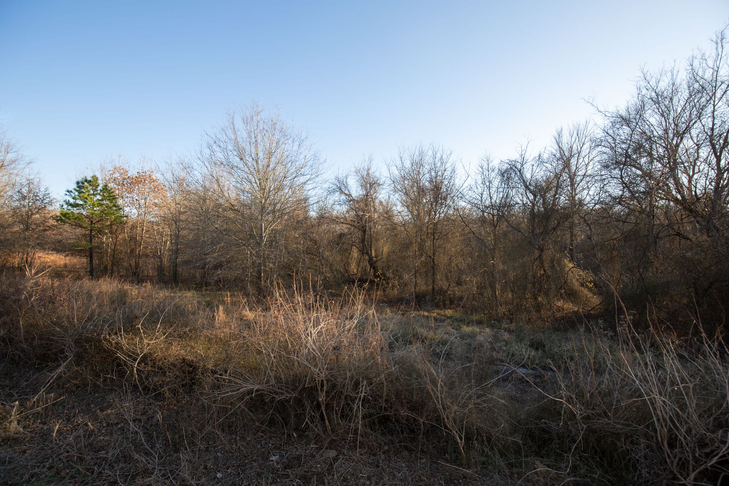 Painted Horse Tract 43 photo 6