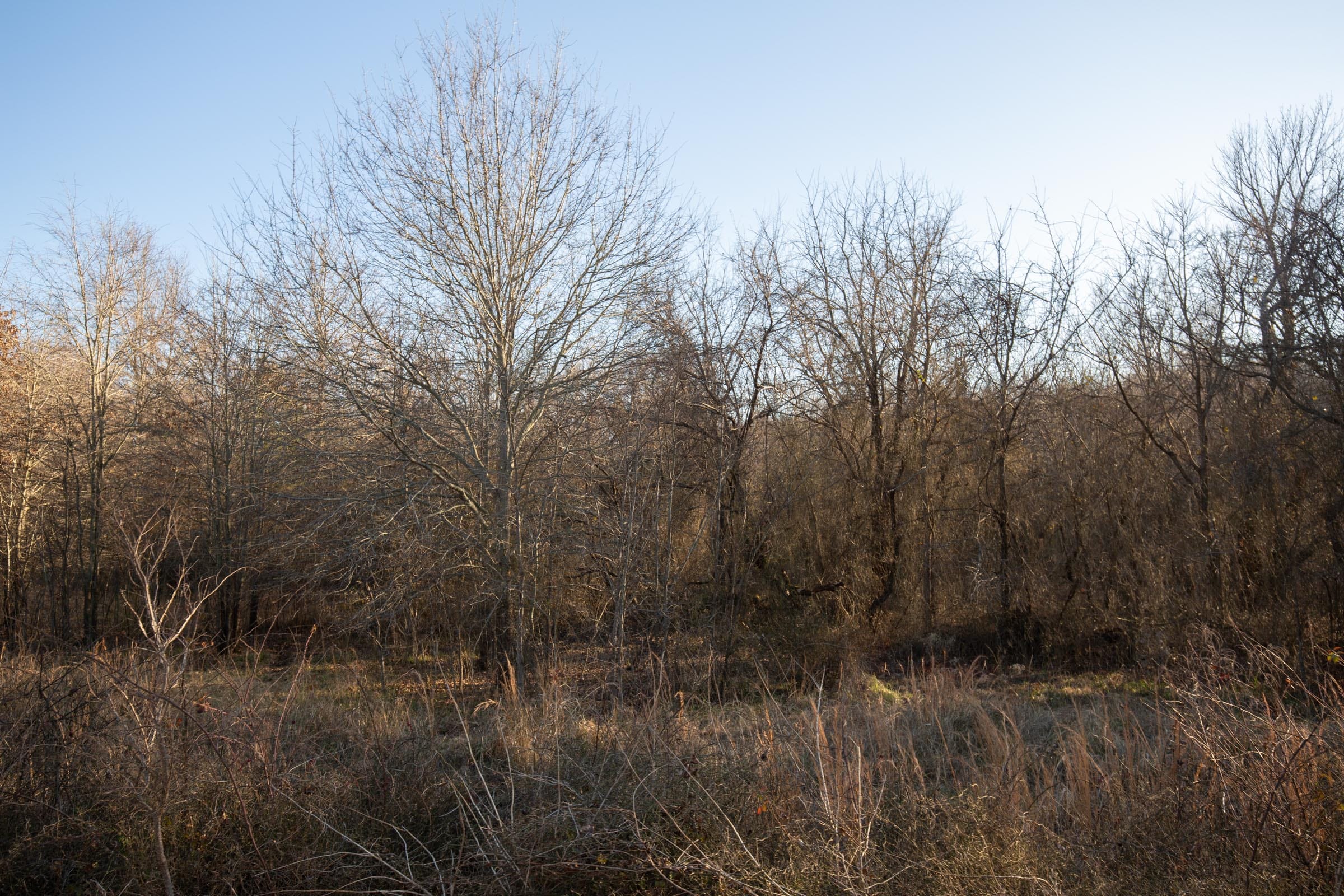 Painted Horse Tract 43 photo 7