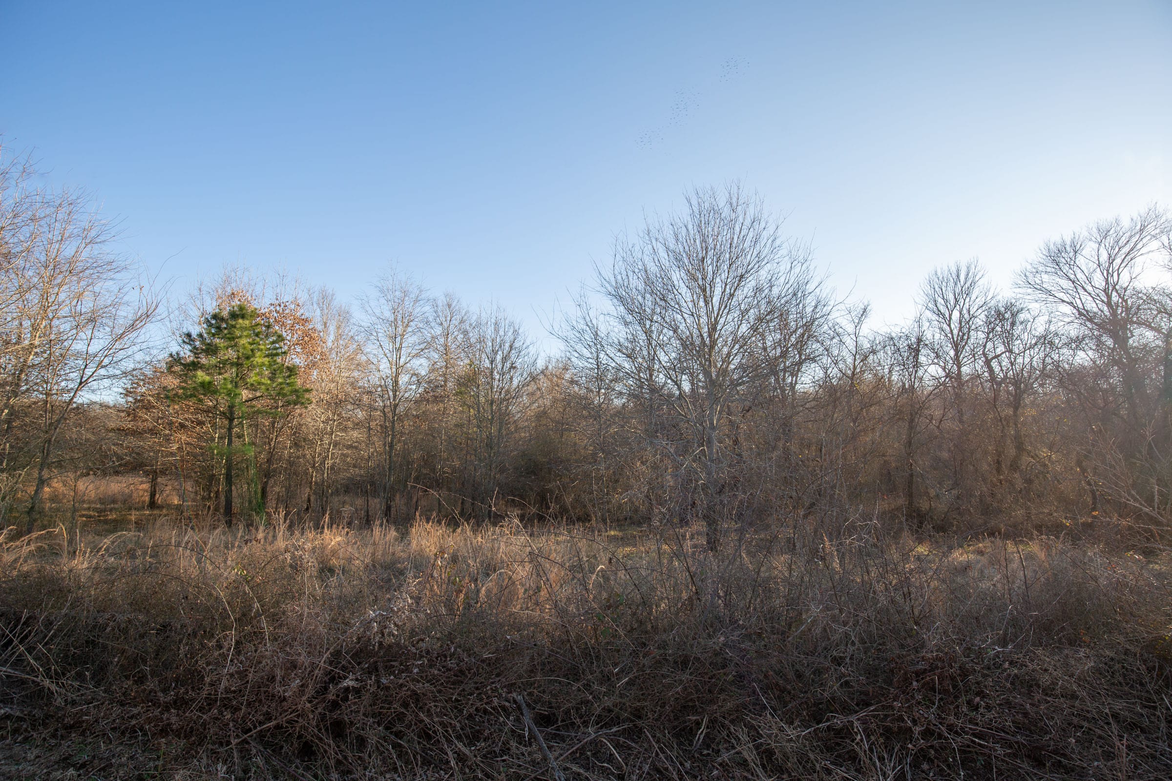 Painted Horse Tract 43 photo 9
