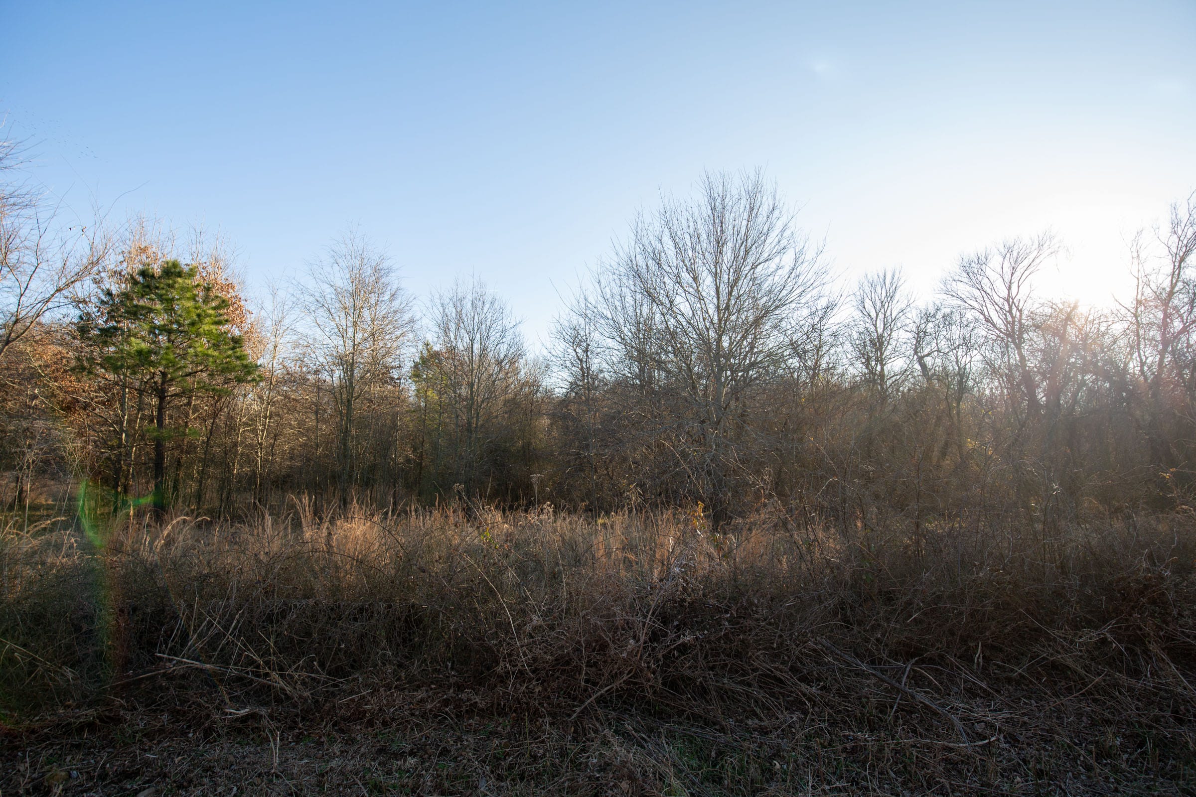 Painted Horse Tract 43 photo 10