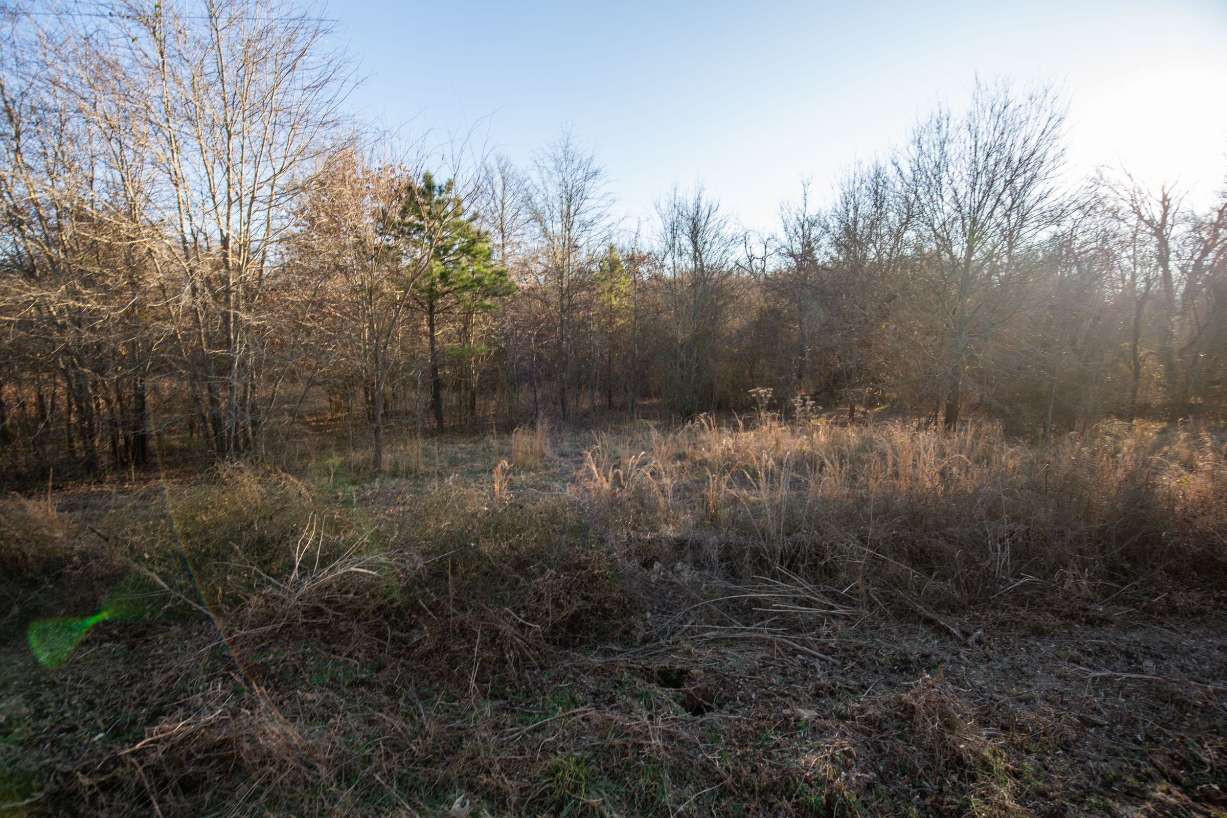Painted Horse Tract 43 photo 11