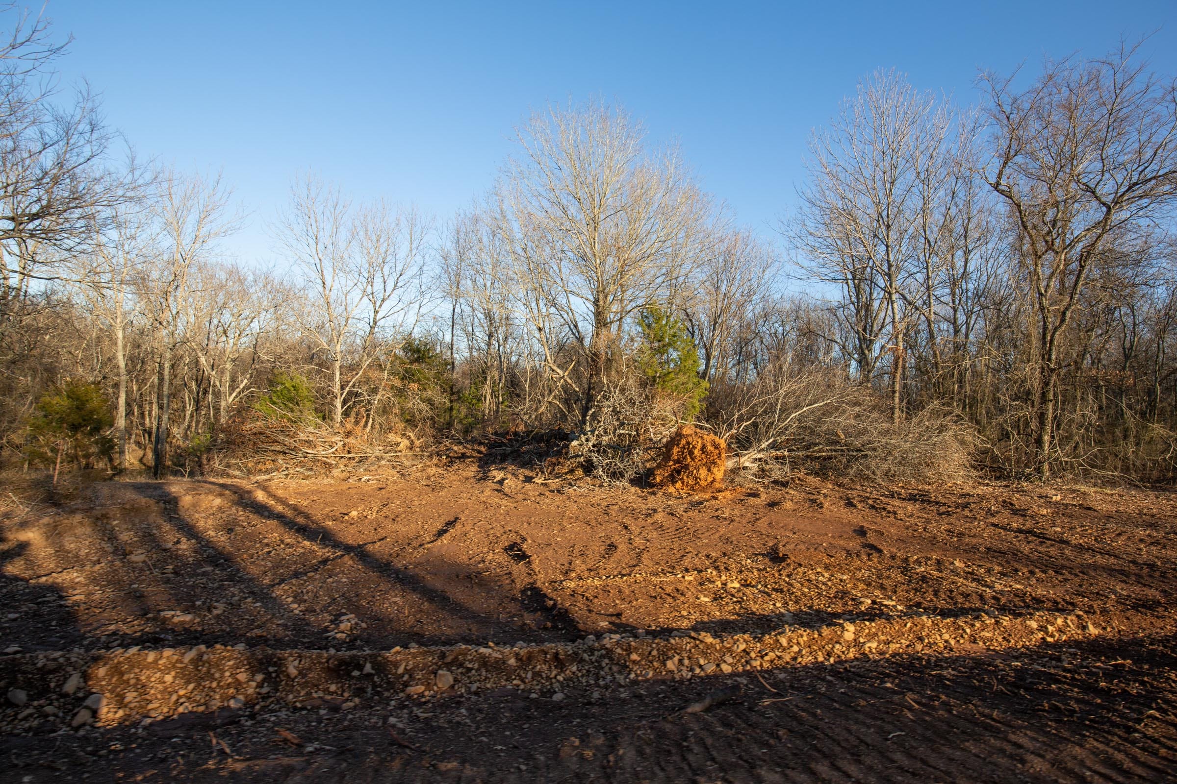 Painted Horse Tract 43 photo 13