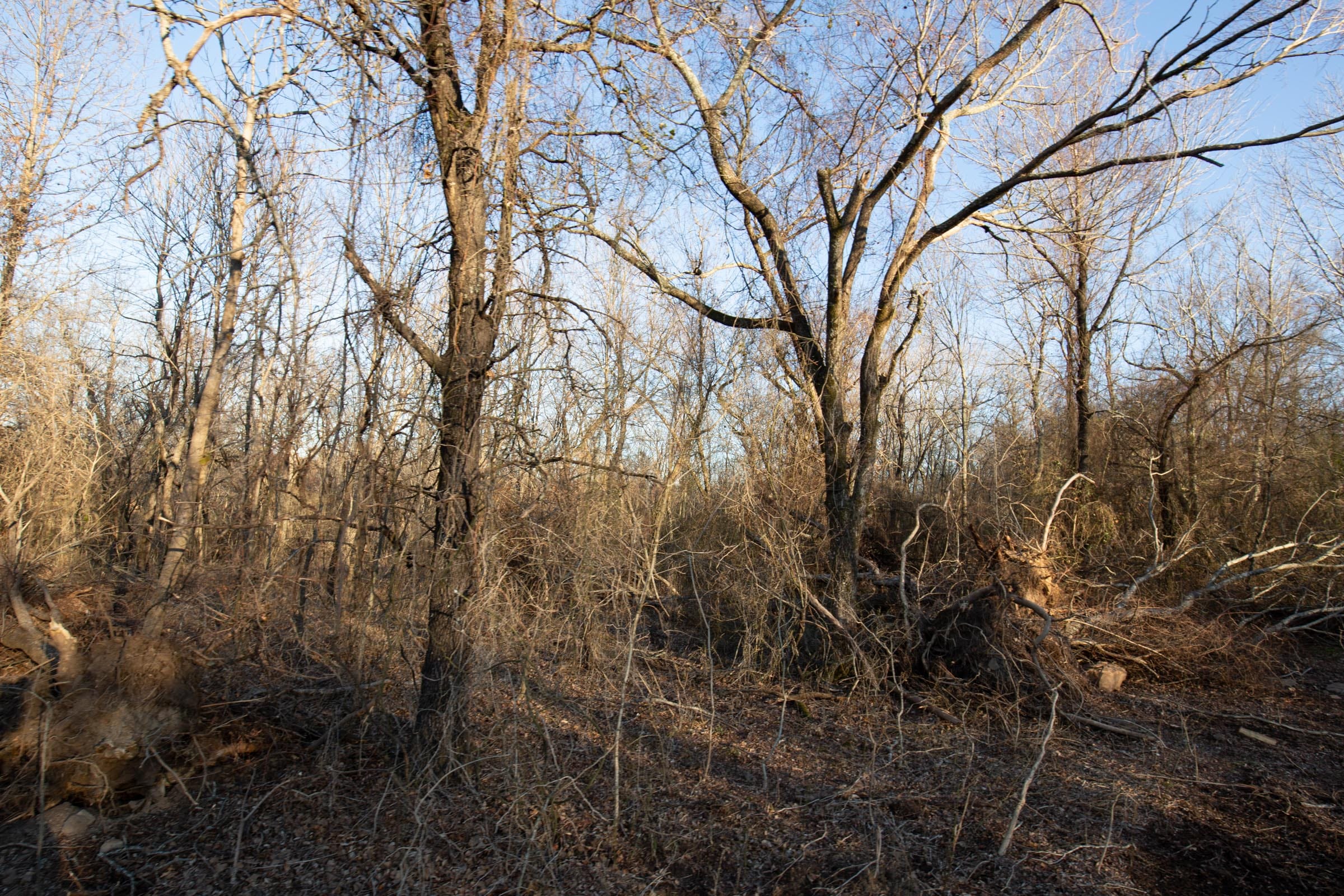 Painted Horse Tract 43 photo 14