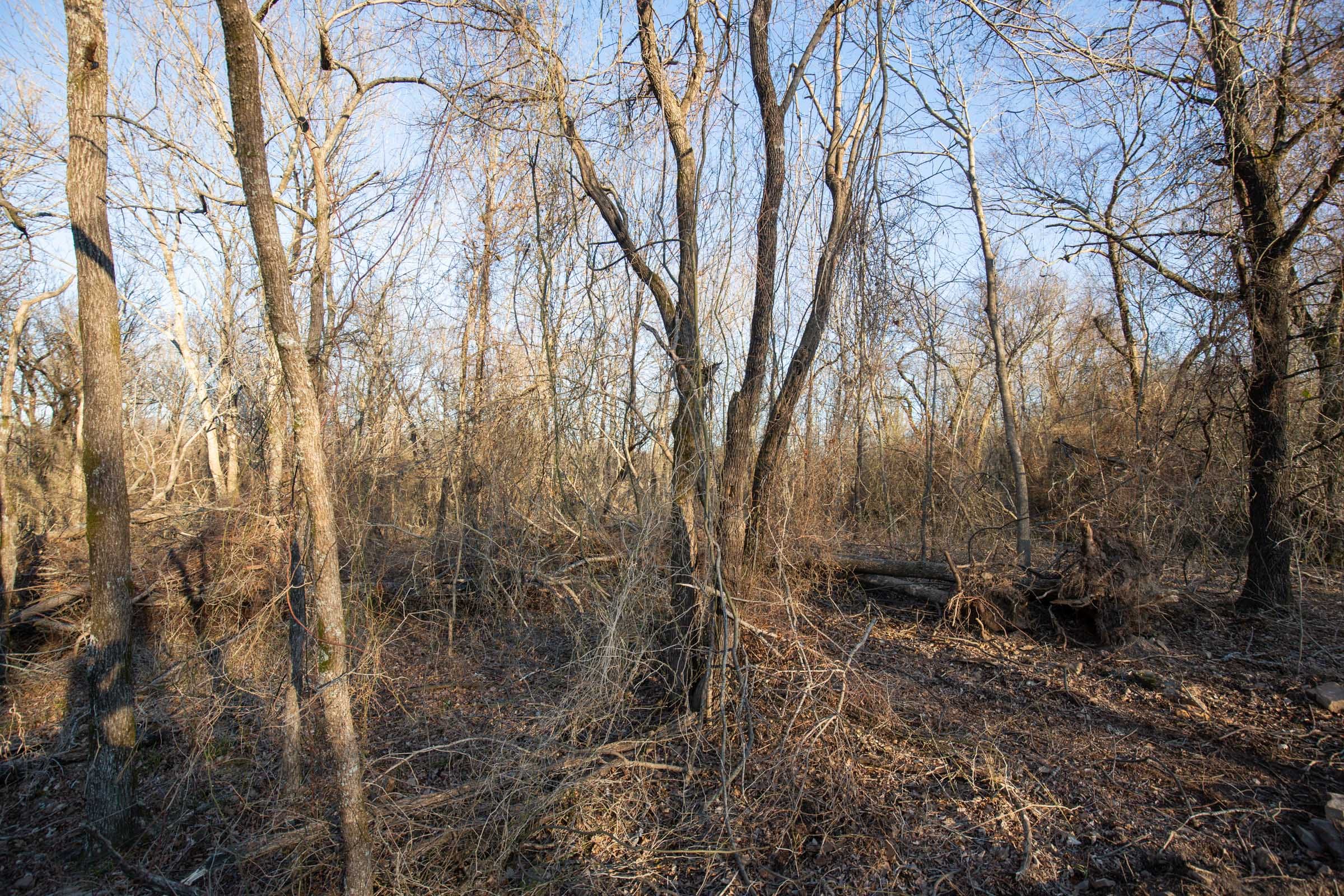 Painted Horse Tract 43 photo 15