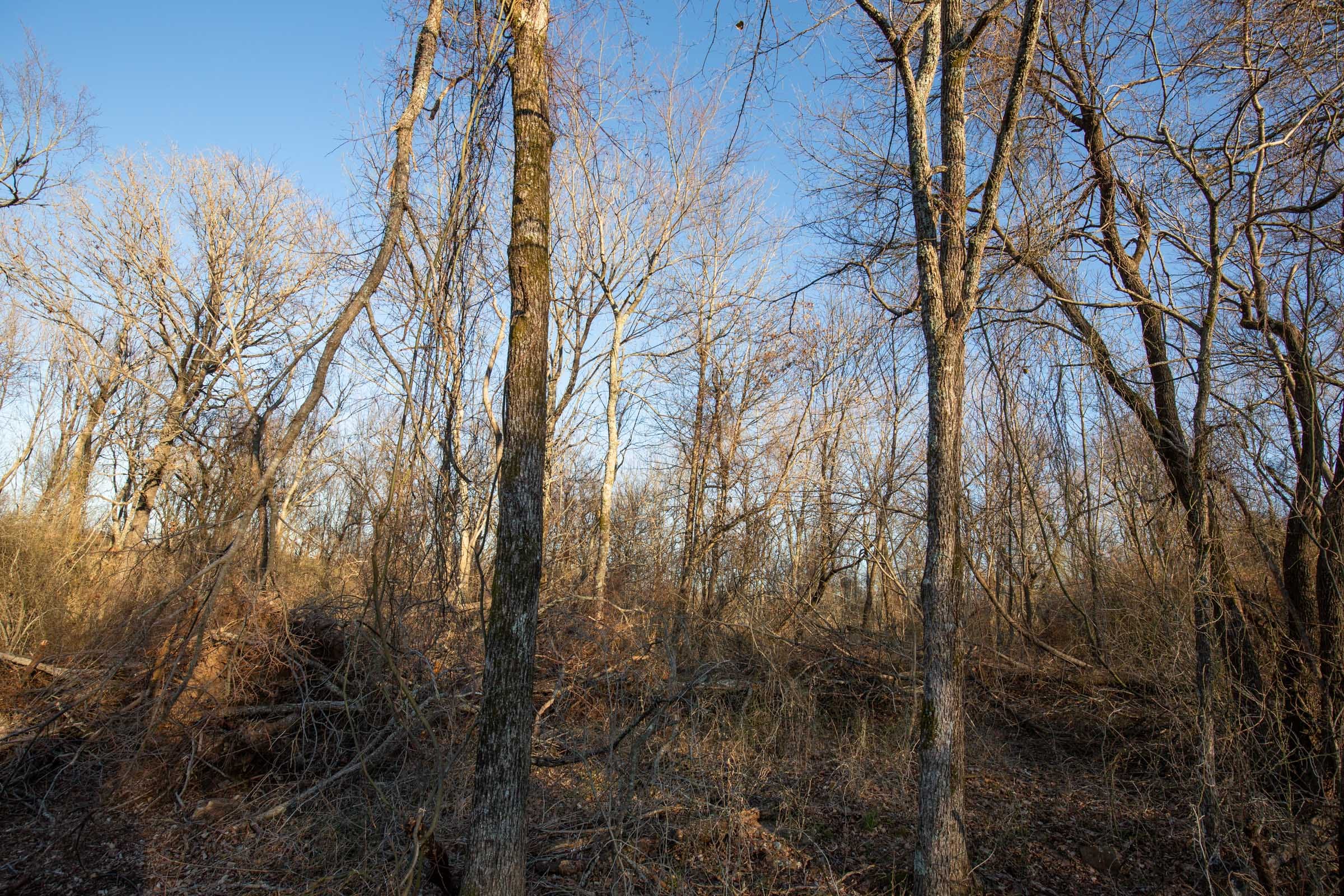 Painted Horse Tract 43 photo 17