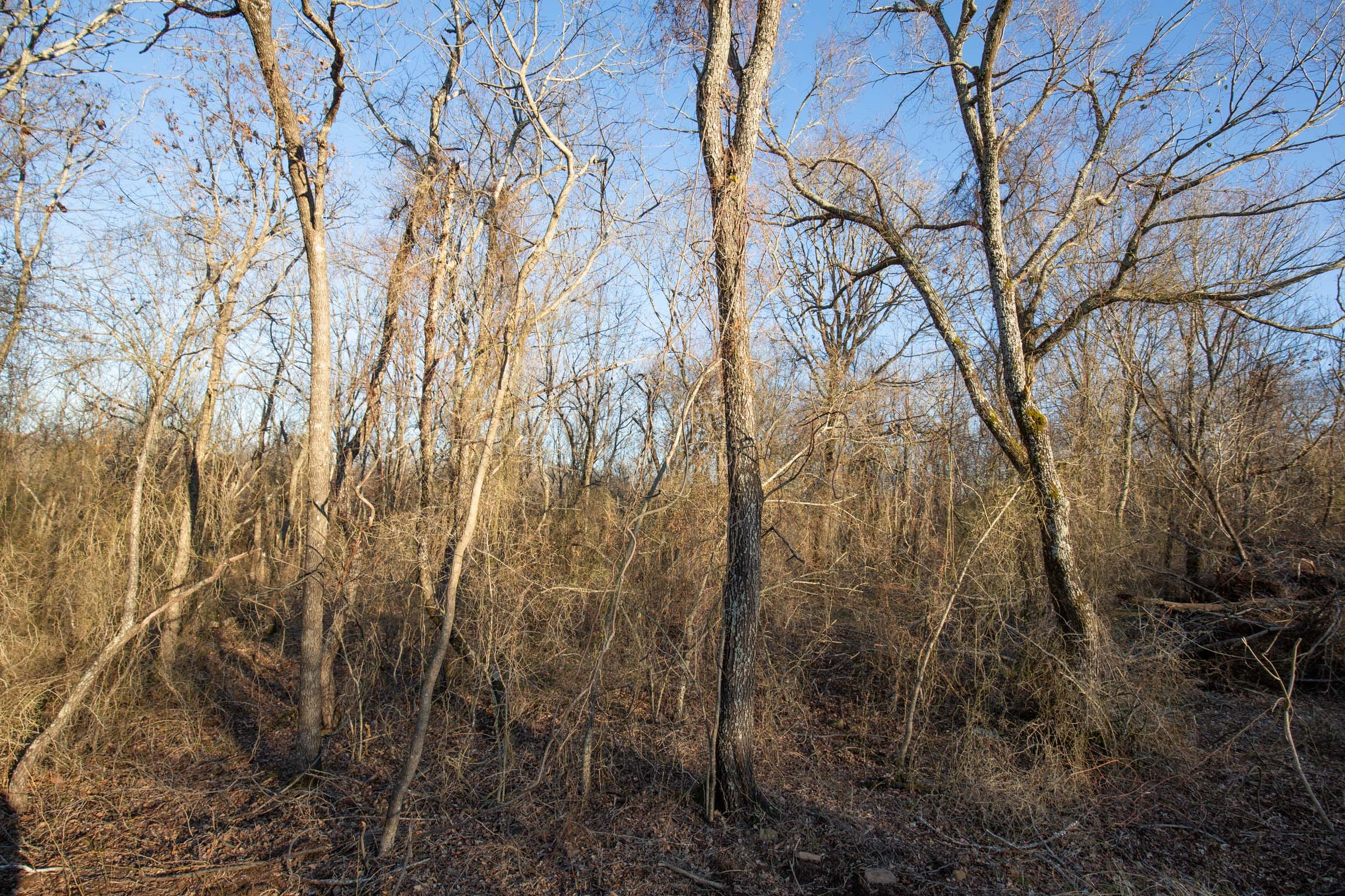 Painted Horse Tract 43 photo 18