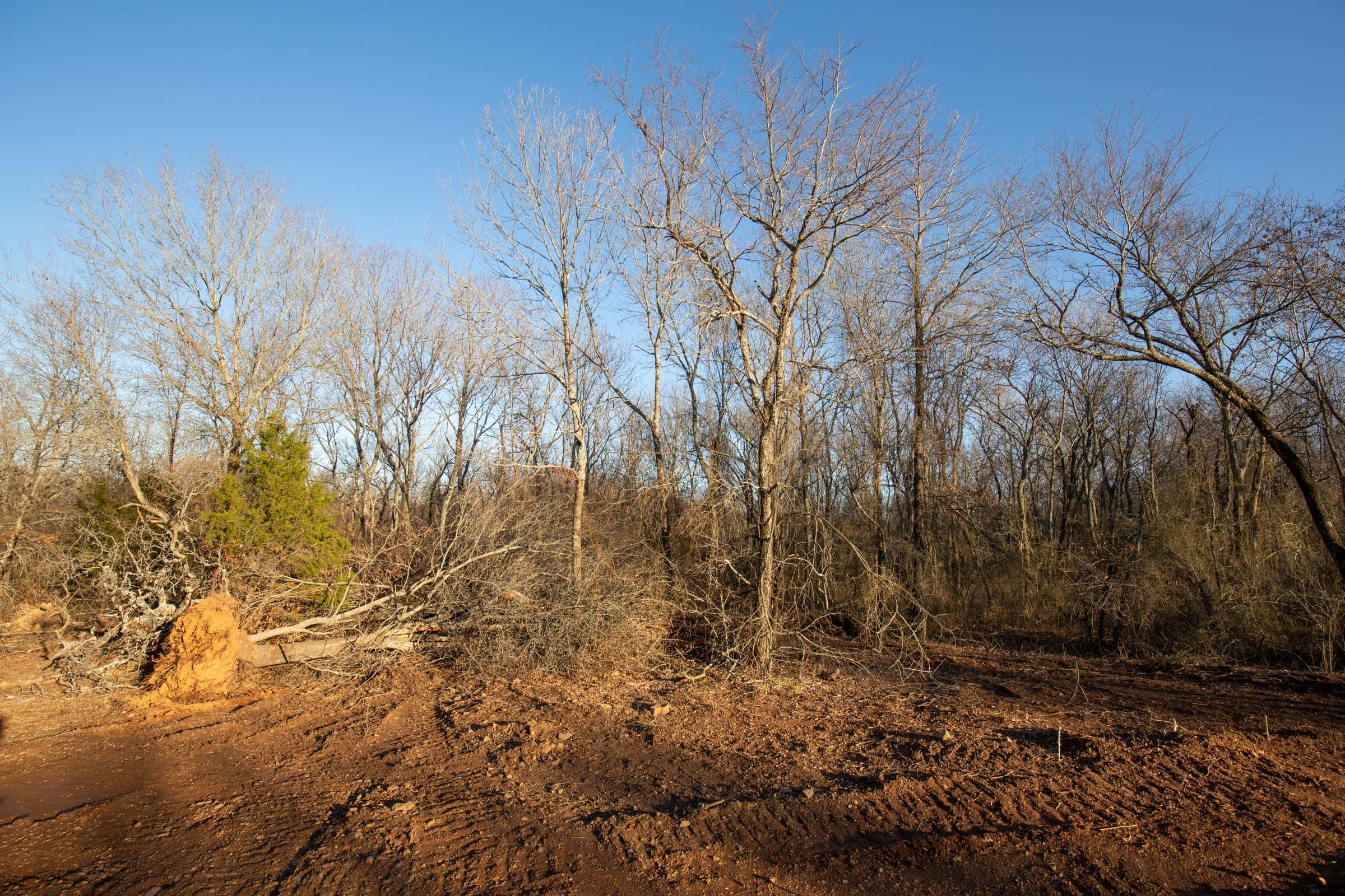 Painted Horse Tract 43 photo 19