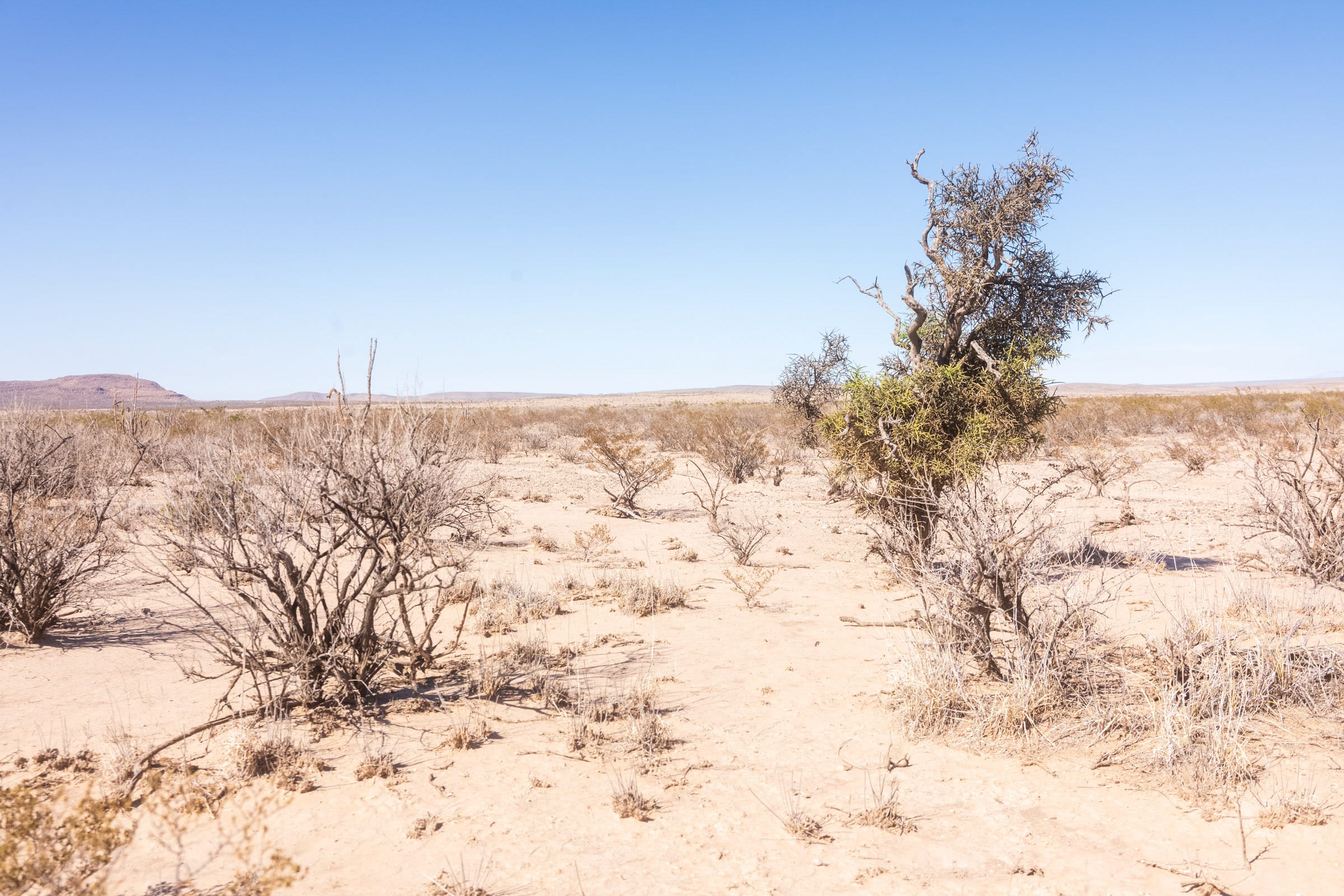 Sunrise Ranches Phase IV Tract 185 photo 10