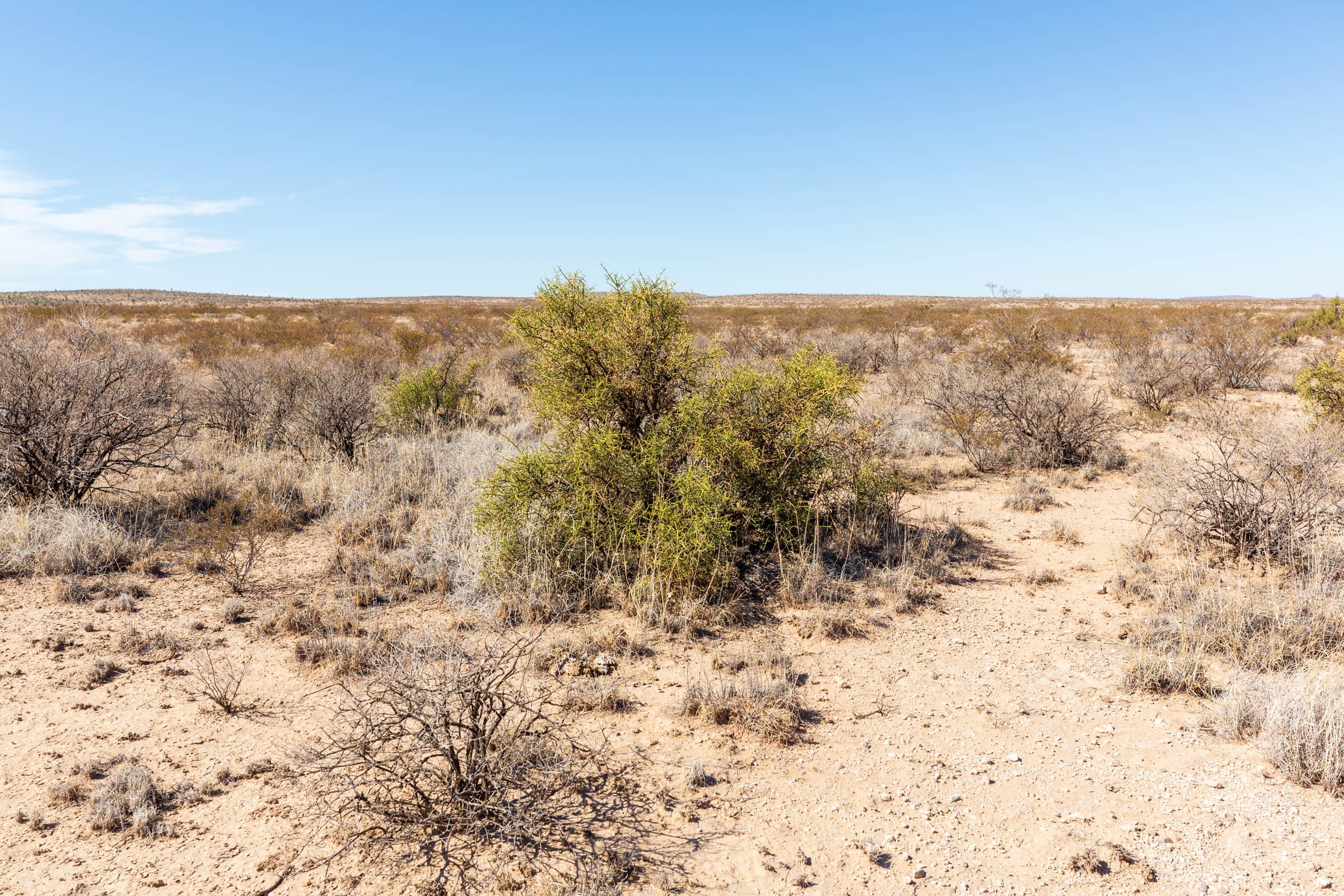 Sunrise Ranches Phase IV Tract 164 photo 15