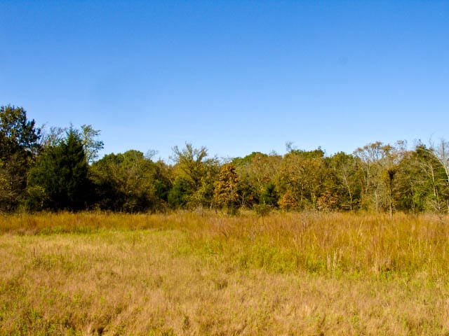 Saddlebrook Ranch Tract 19 photo 3