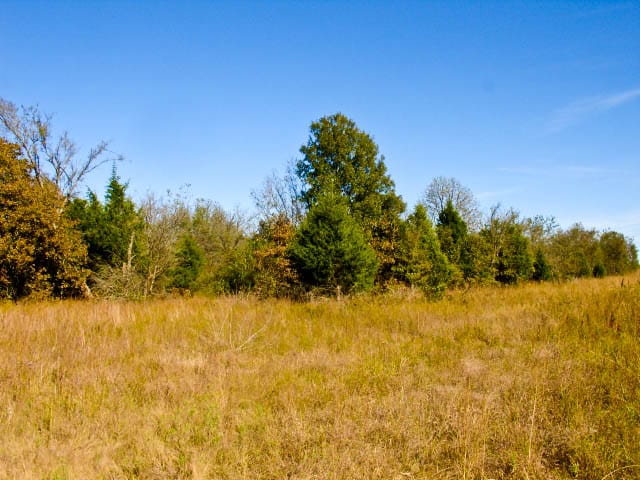 Saddlebrook Ranch Tract 19 photo 5