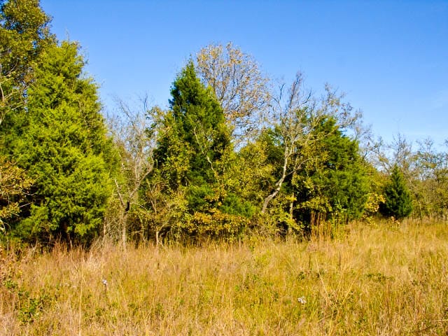 Saddlebrook Ranch Tract 19 photo 6