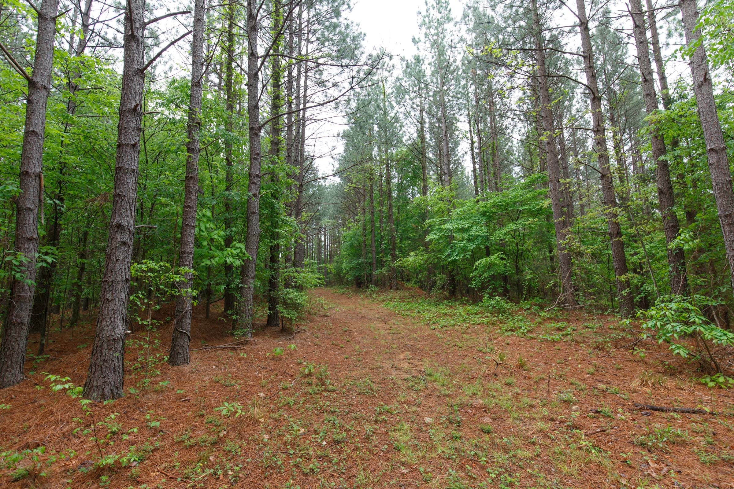 Red Barn Ranch Tract 25 photo 4