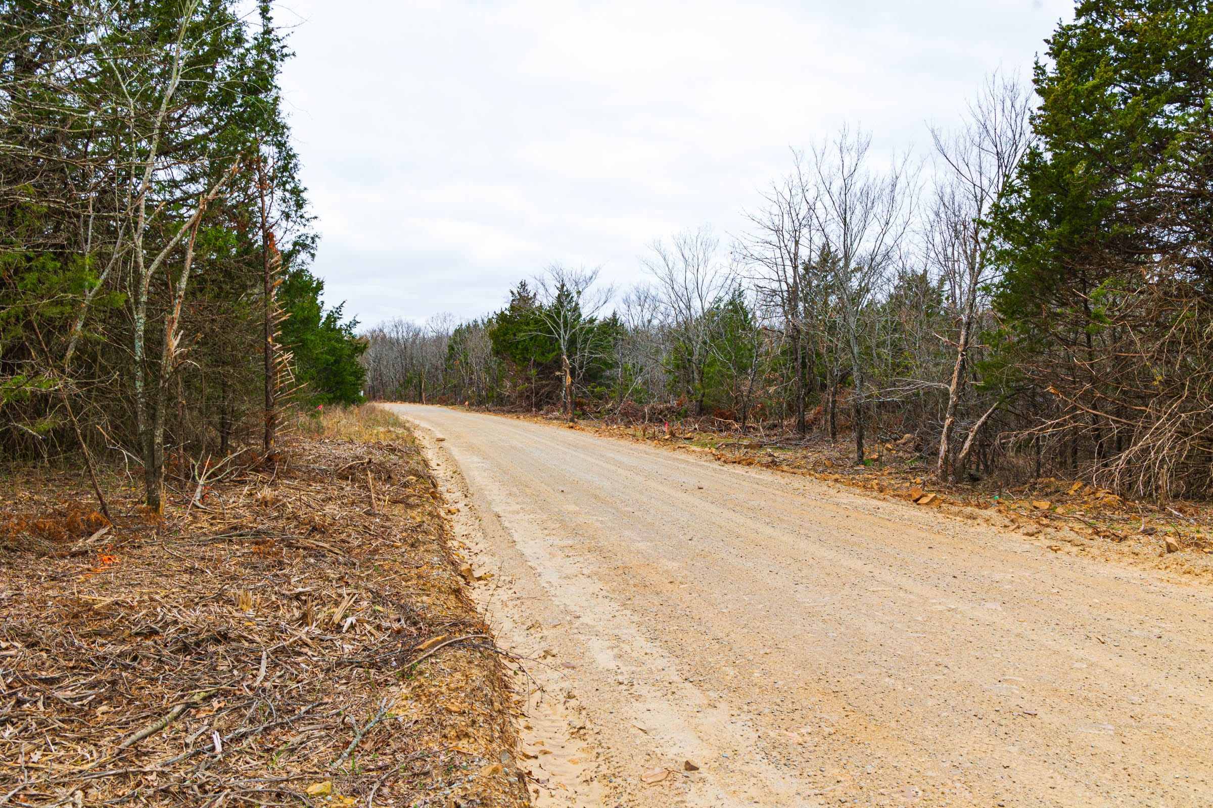 Reserves At Cattail Cove Phase I Tract 11 photo 2