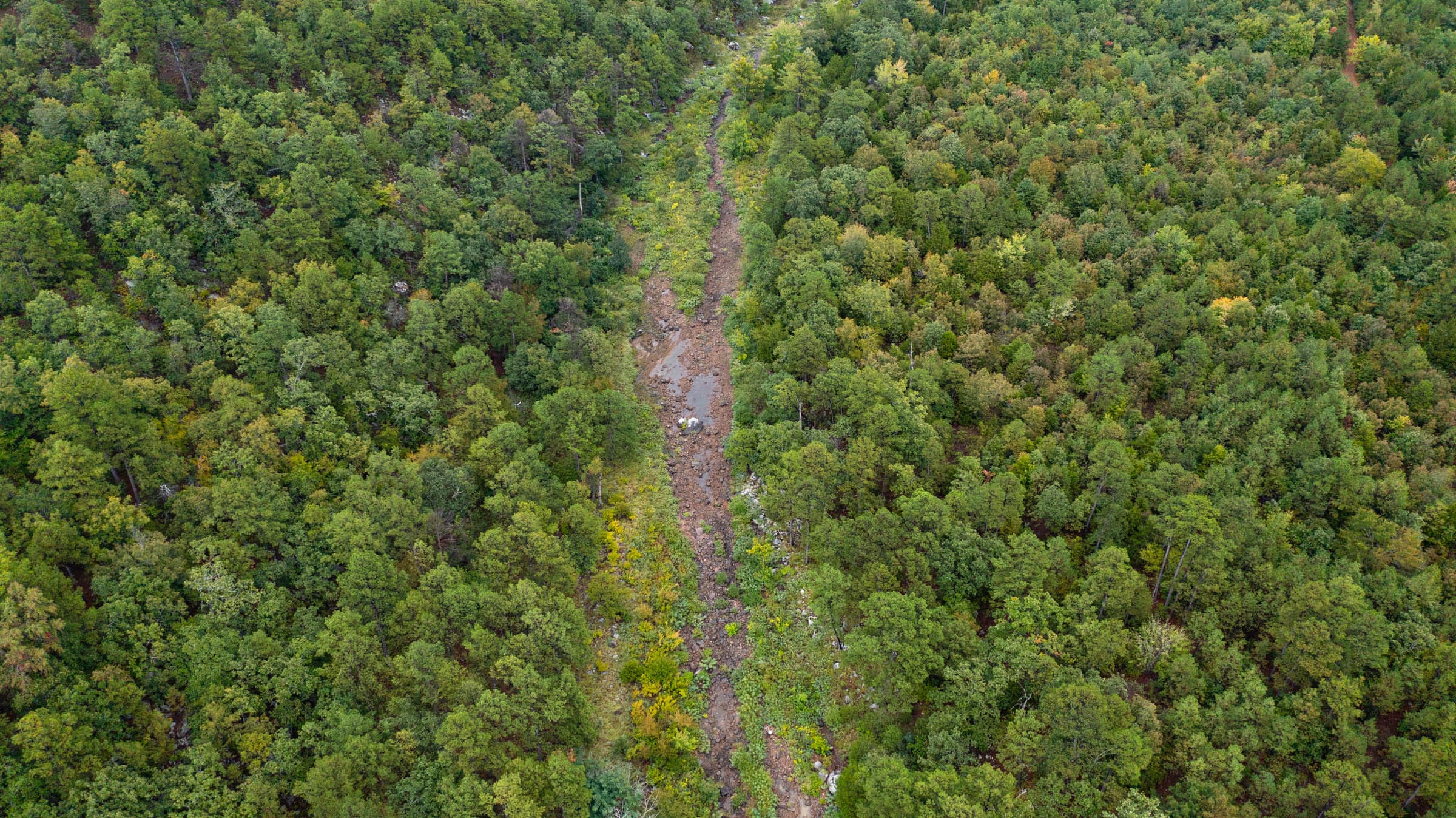 Stone Bridge Phase V Tract 426 photo 1