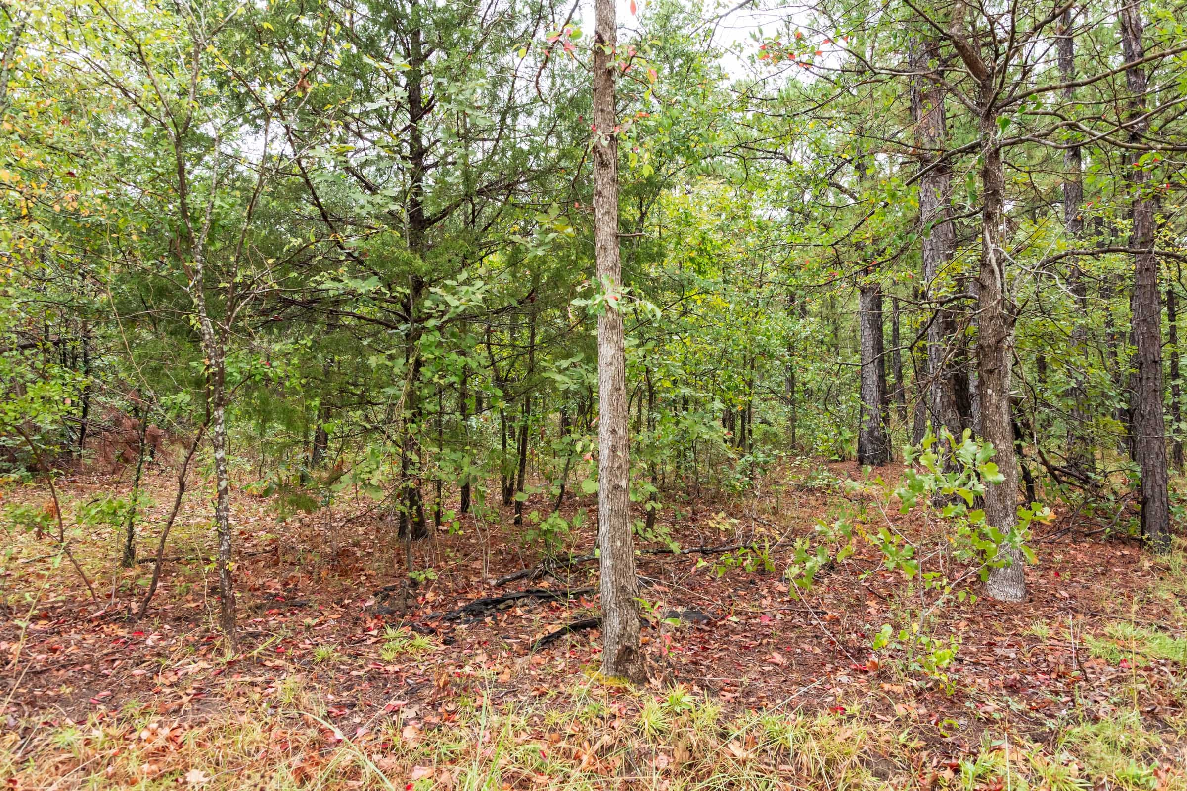 Stone Bridge Phase V Tract 426 photo 12