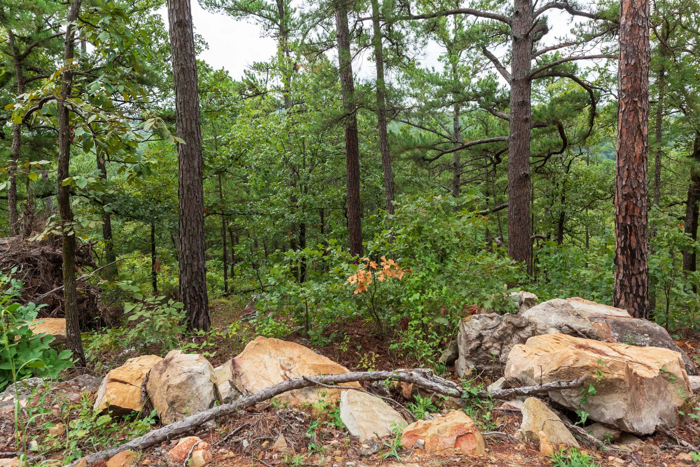 Stone Bridge Phase V Tract 426 photo 14