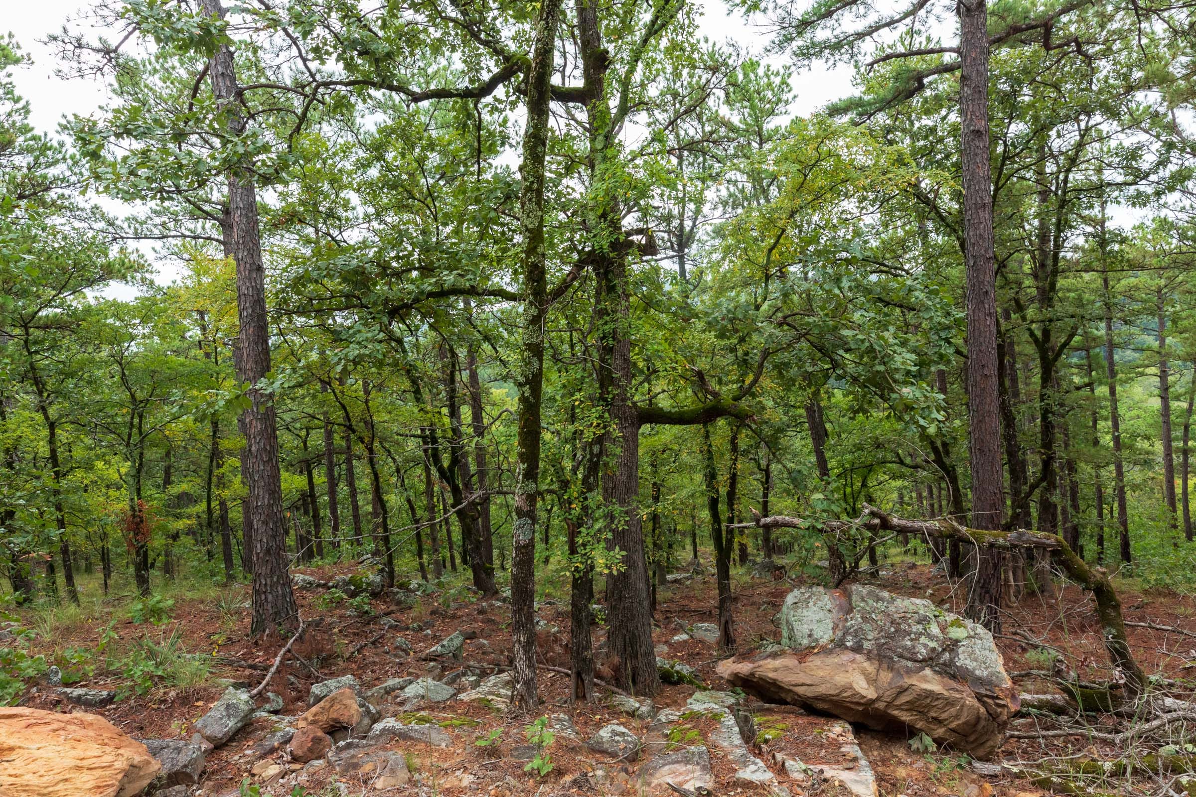 Stone Bridge Phase V Tract 426 photo 16