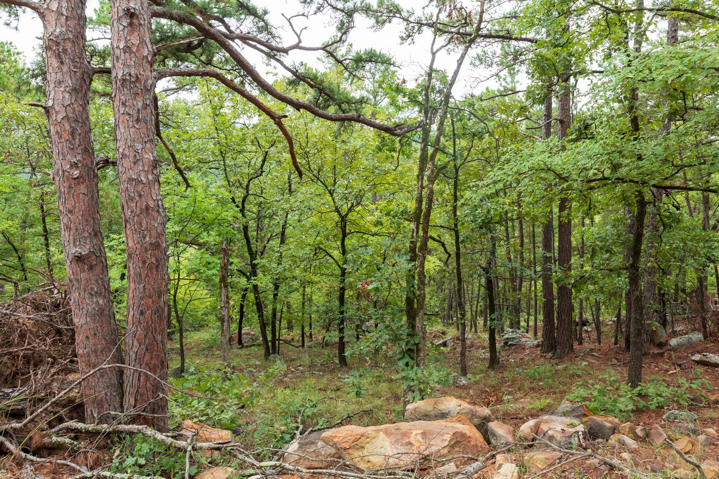 Stone Bridge Phase V Tract 426 photo 17