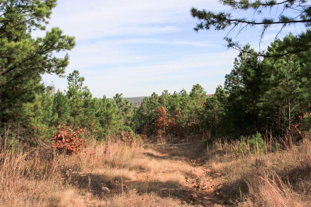 Stone Creek Phase III Tract 51 photo 2