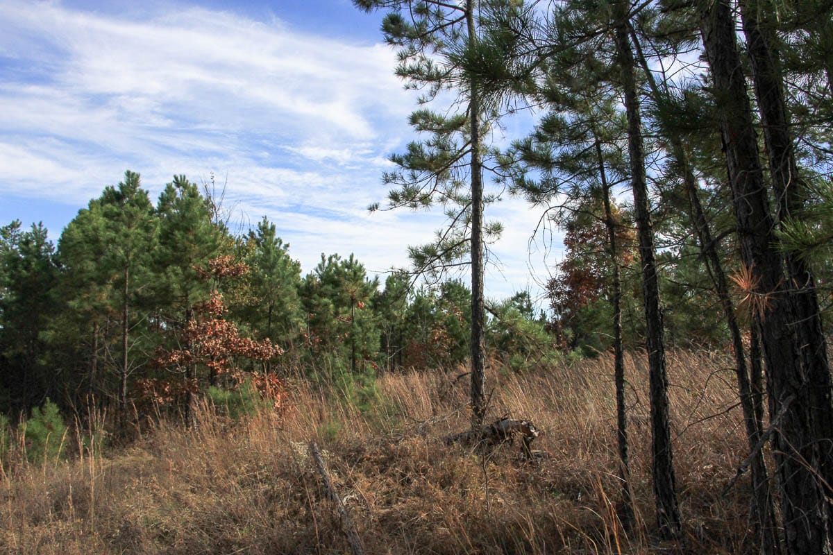 Stone Creek Phase III Tract 51 photo 5