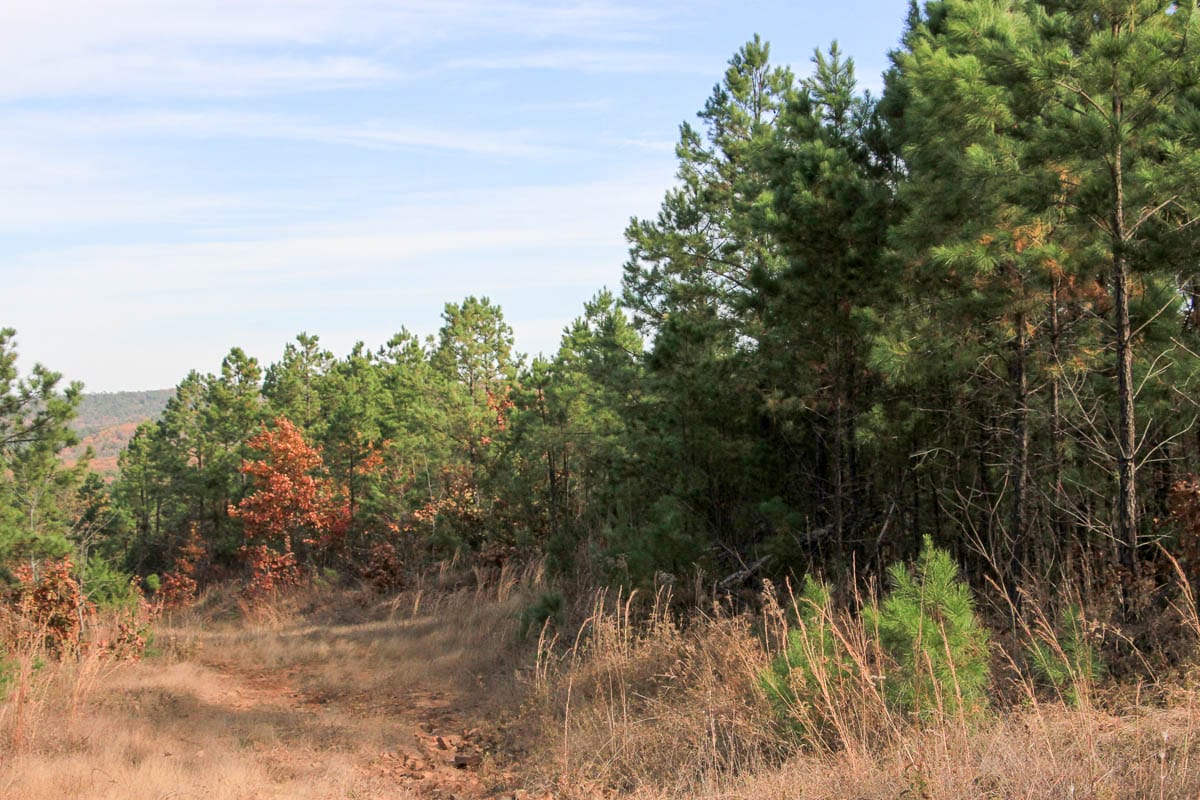 Stone Creek Phase III Tract 51 photo 7