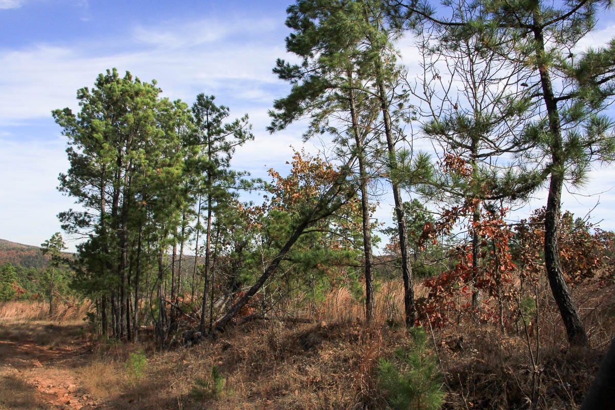 Stone Creek Phase III Tract 51 photo 11