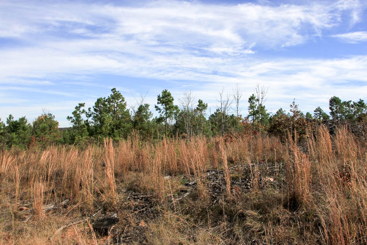 Stone Creek Phase III Tract 51 photo 13