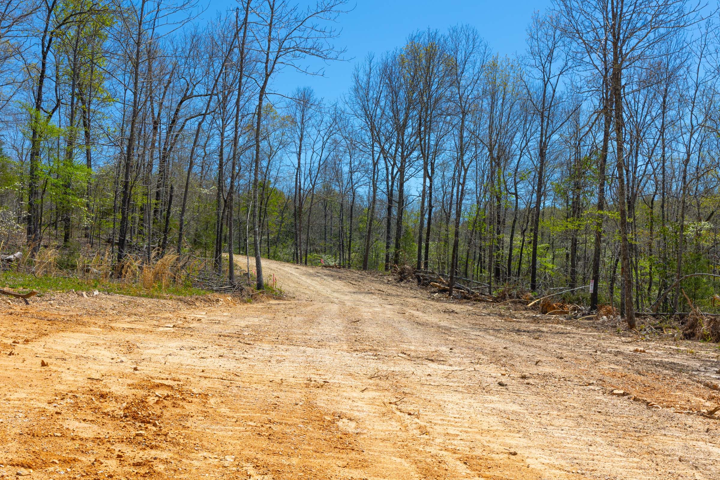 Lazybrook Tract 6 photo 3