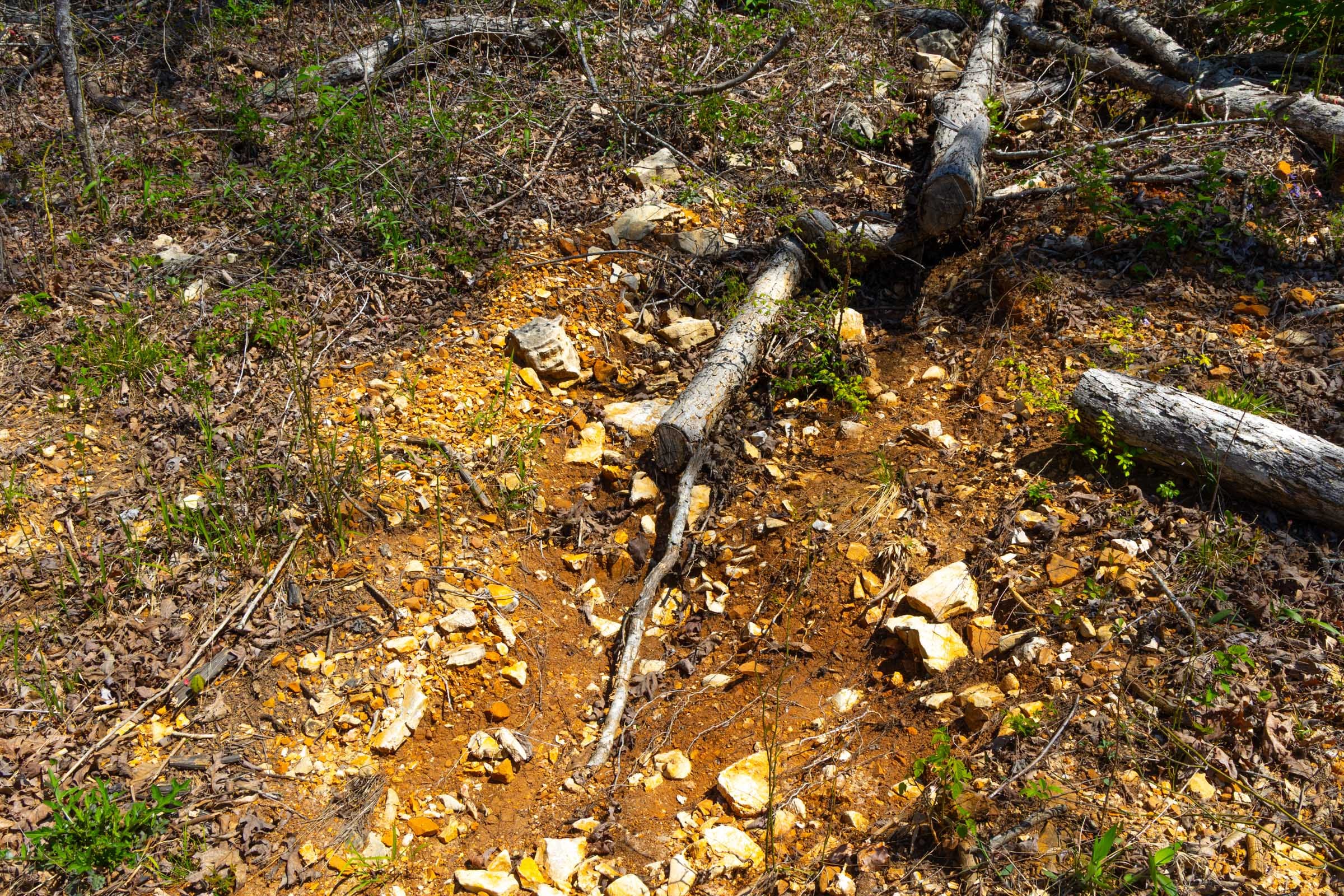 Lazybrook Tract 6 photo 4