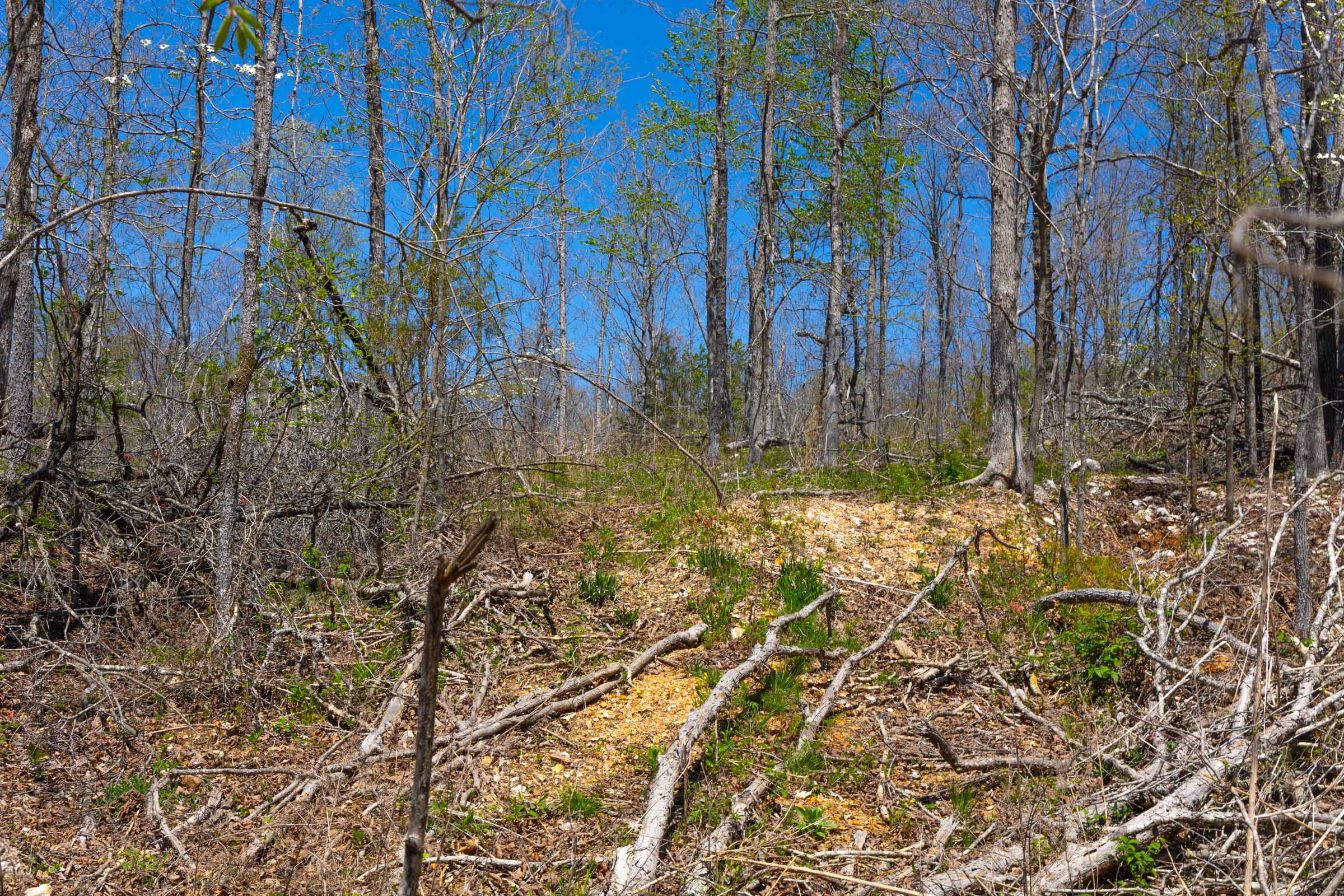 Lazybrook Tract 6 photo 9