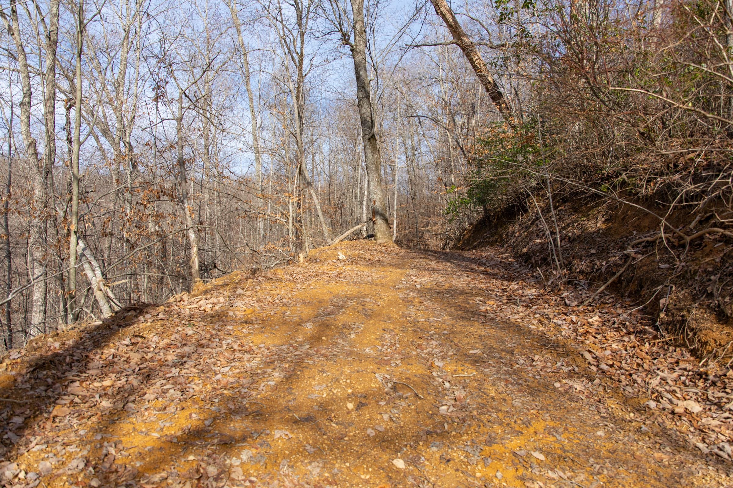 Blackstone Mountain Phase I Tract 34 photo 2