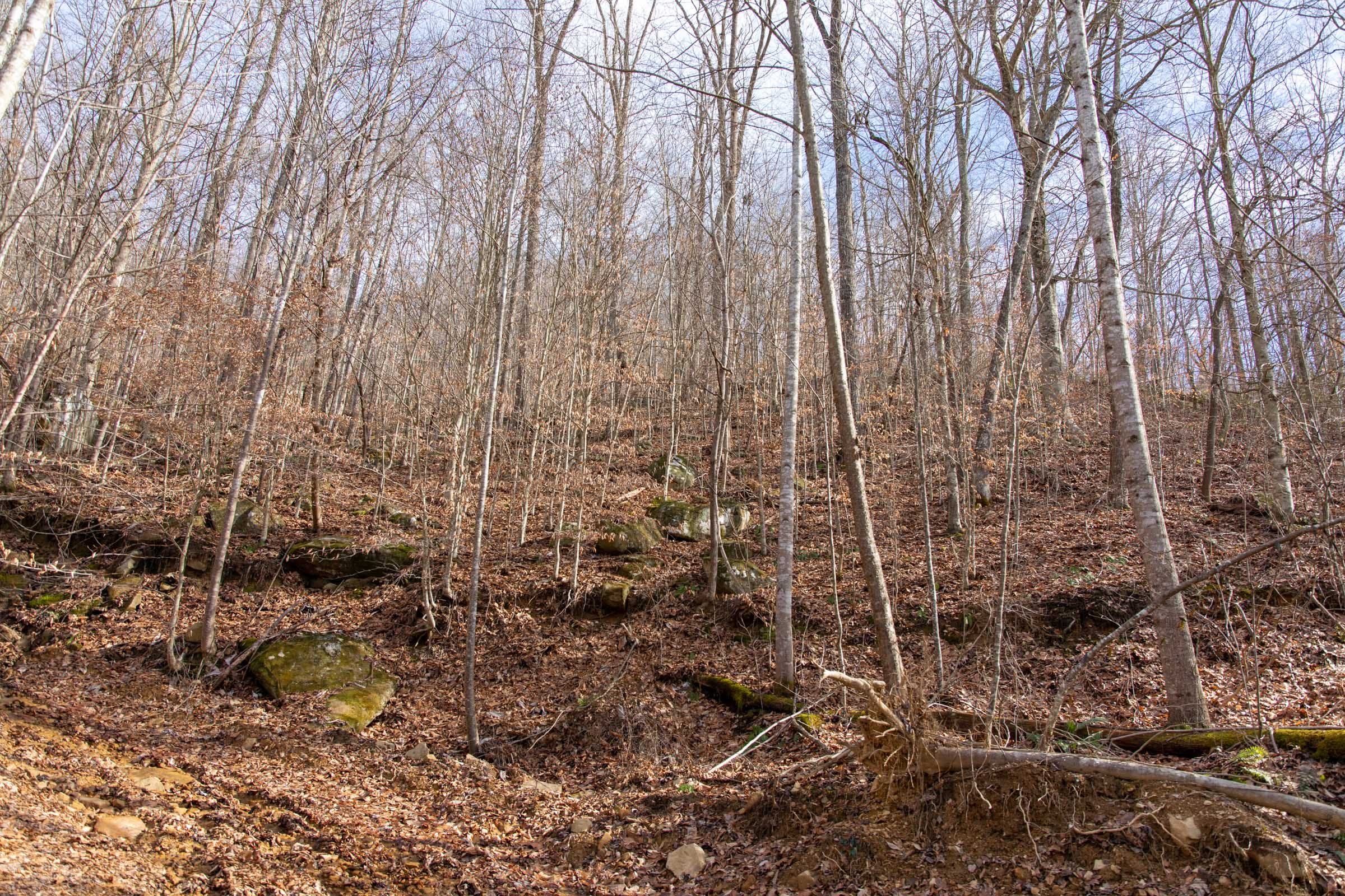 Blackstone Mountain Phase I Tract 34 photo 8