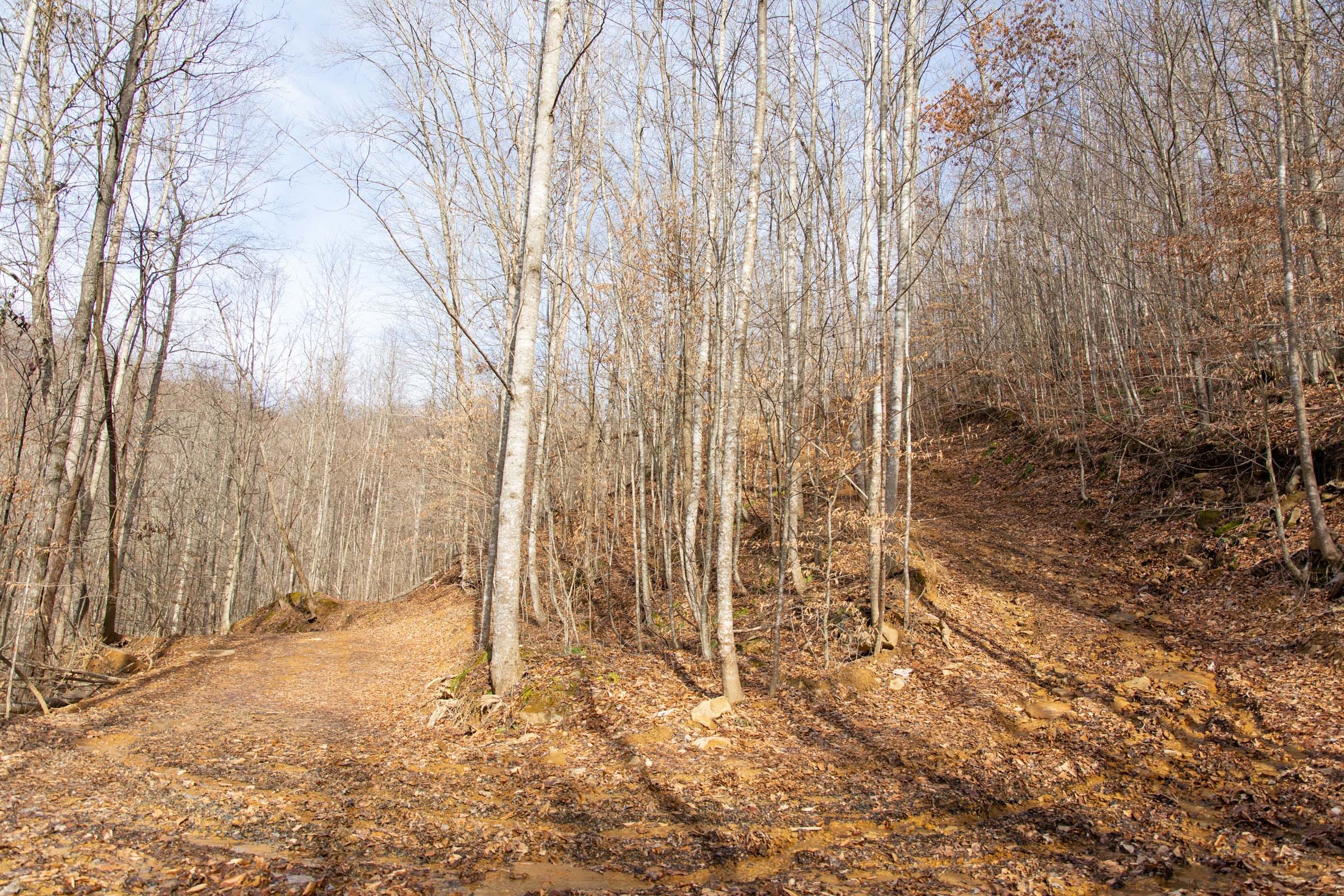 Blackstone Mountain Phase I Tract 34 photo 9