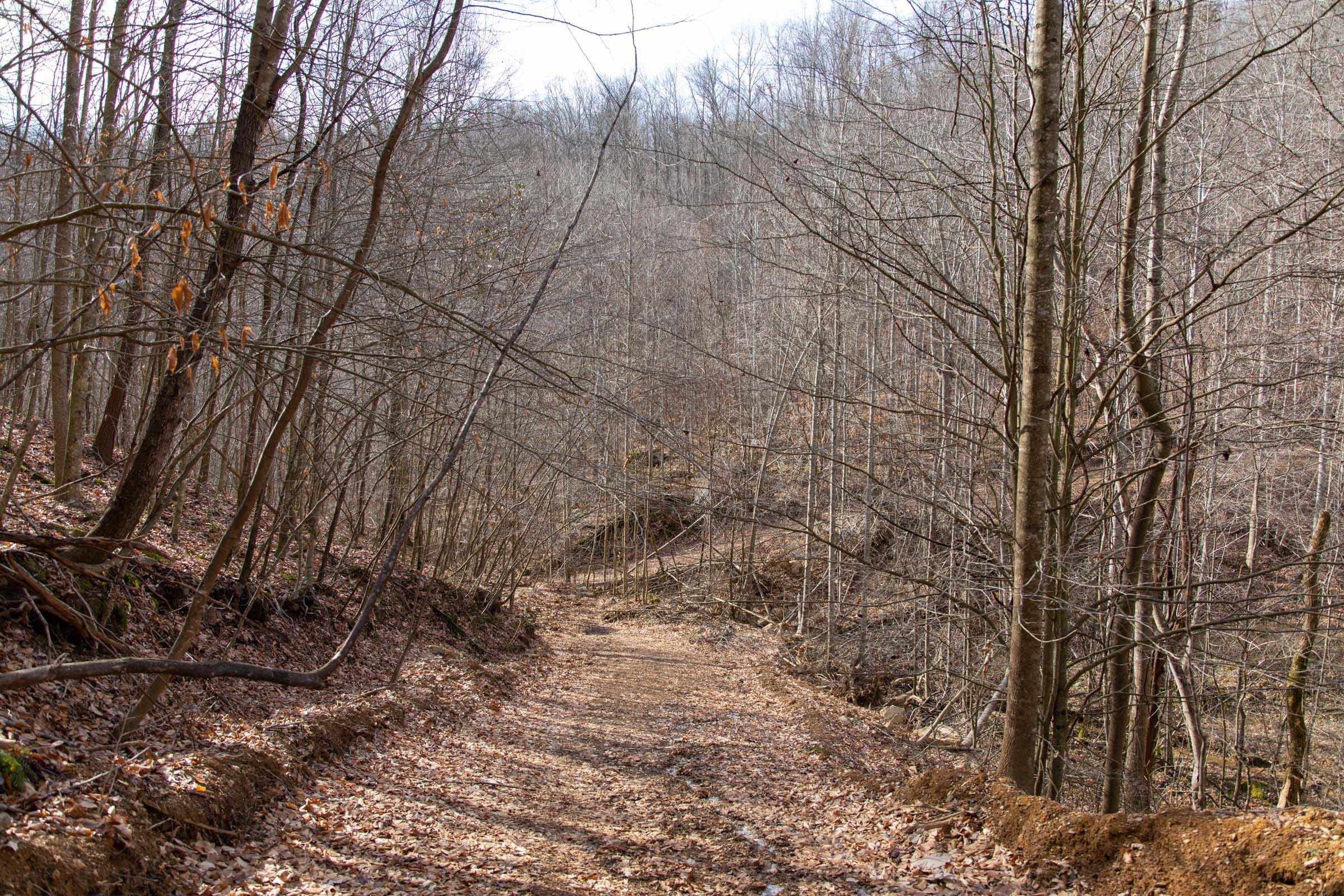 Blackstone Mountain Phase I Tract 34 photo 12