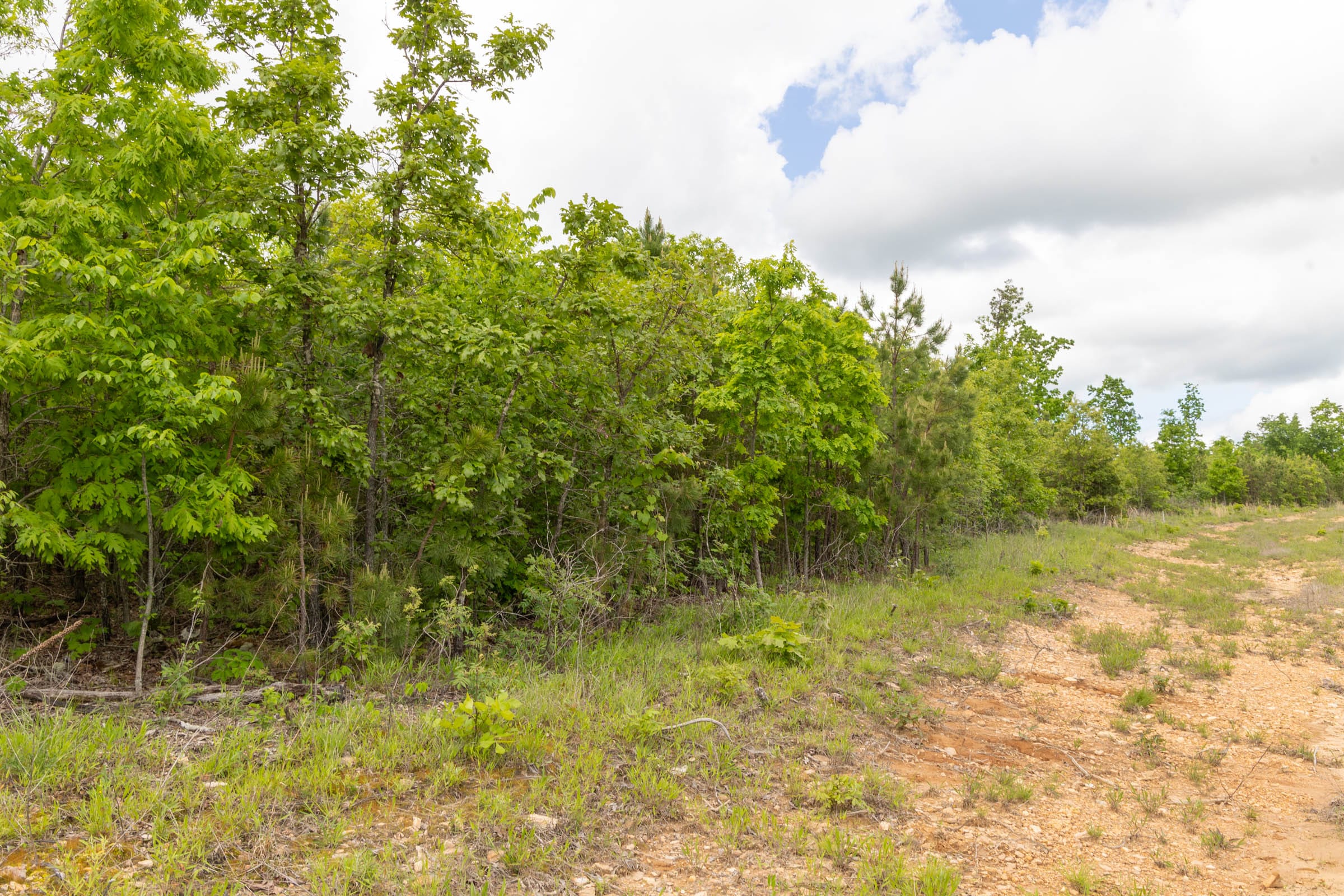 Sleepy Hollow Phase II Tract 97 photo 14