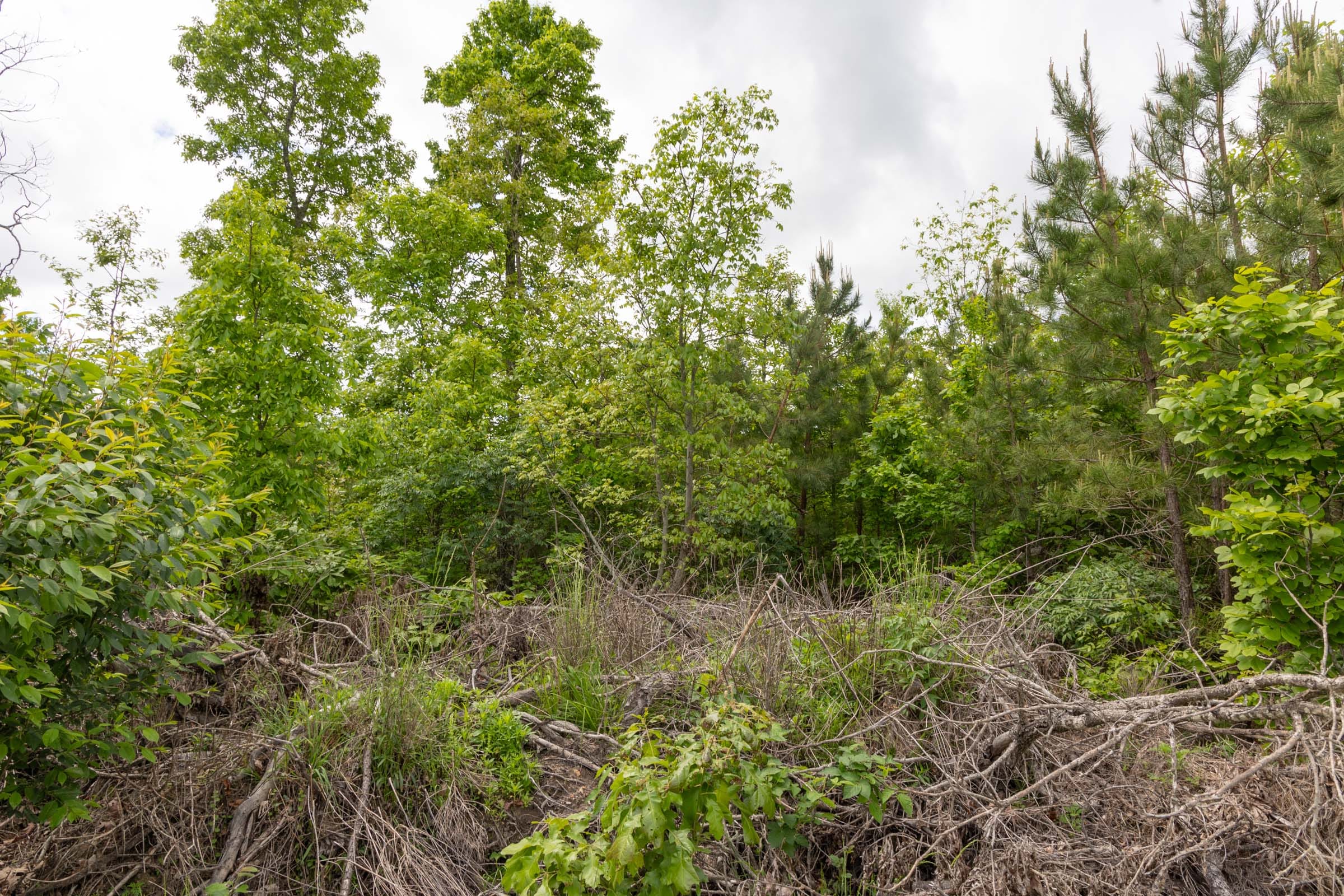 Sleepy Hollow Phase II Tract 97 photo 12