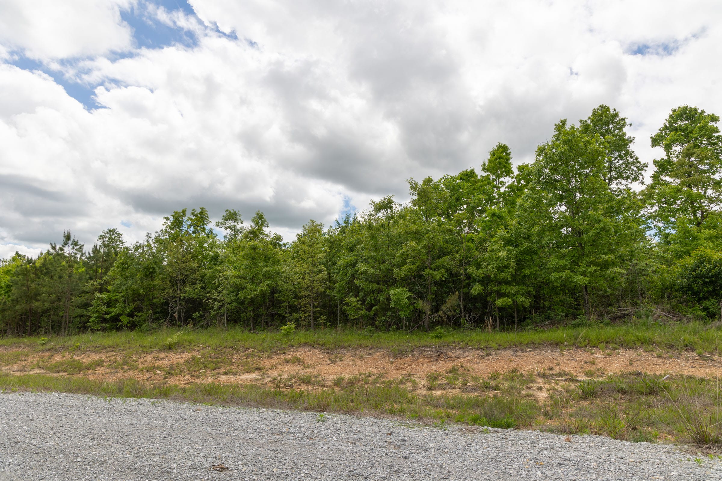 Sleepy Hollow Phase II Tract 97 photo 10