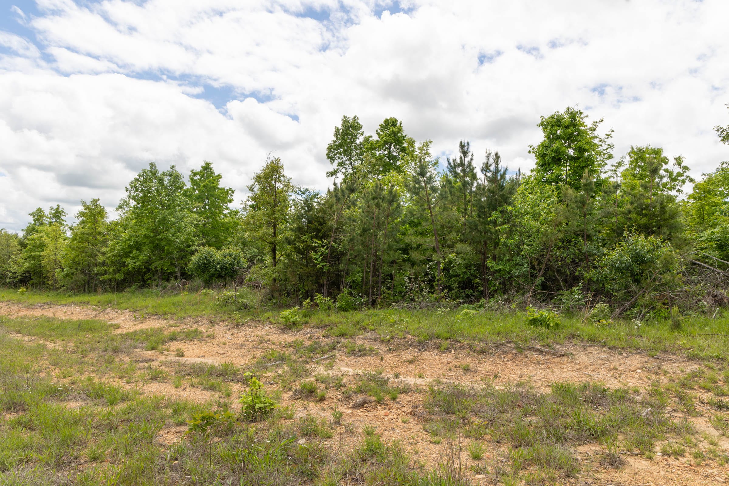 Sleepy Hollow Phase II Tract 97 photo 8