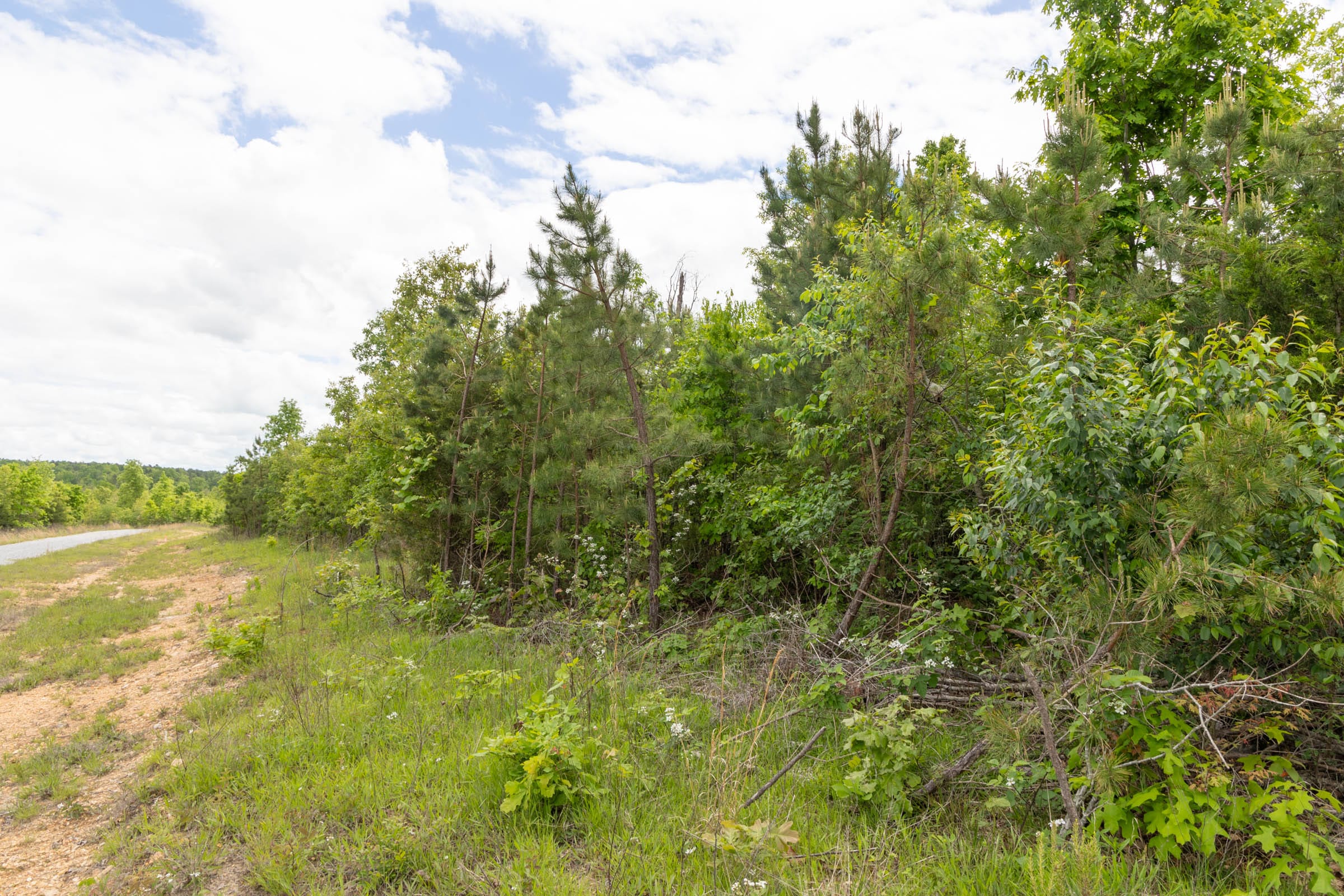Sleepy Hollow Phase II Tract 97 photo 7