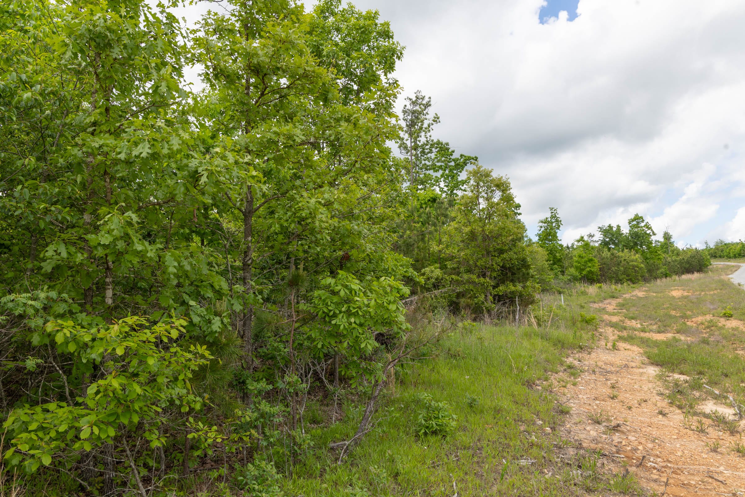 Sleepy Hollow Phase II Tract 97 photo 6