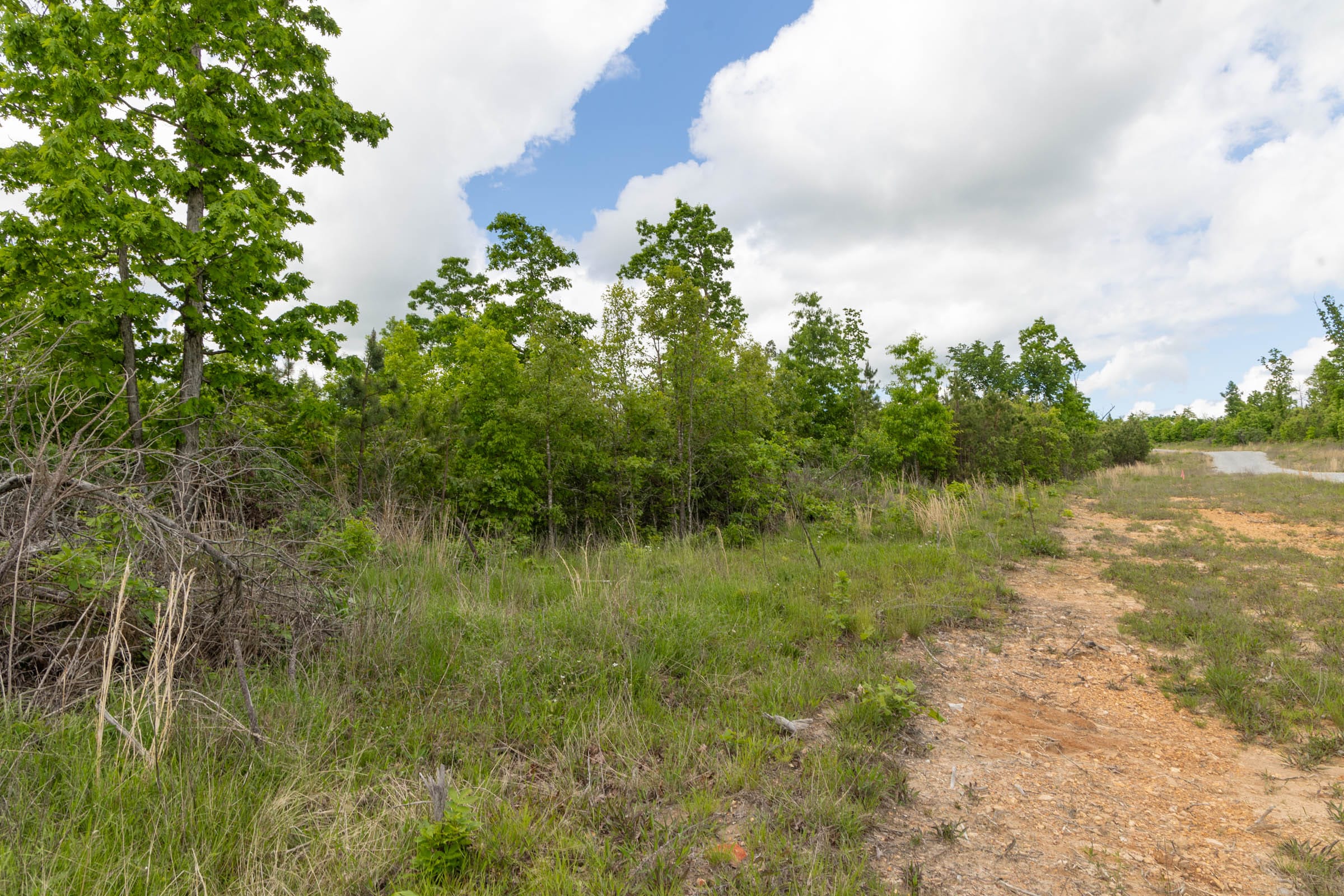 Sleepy Hollow Phase II Tract 97 photo 4