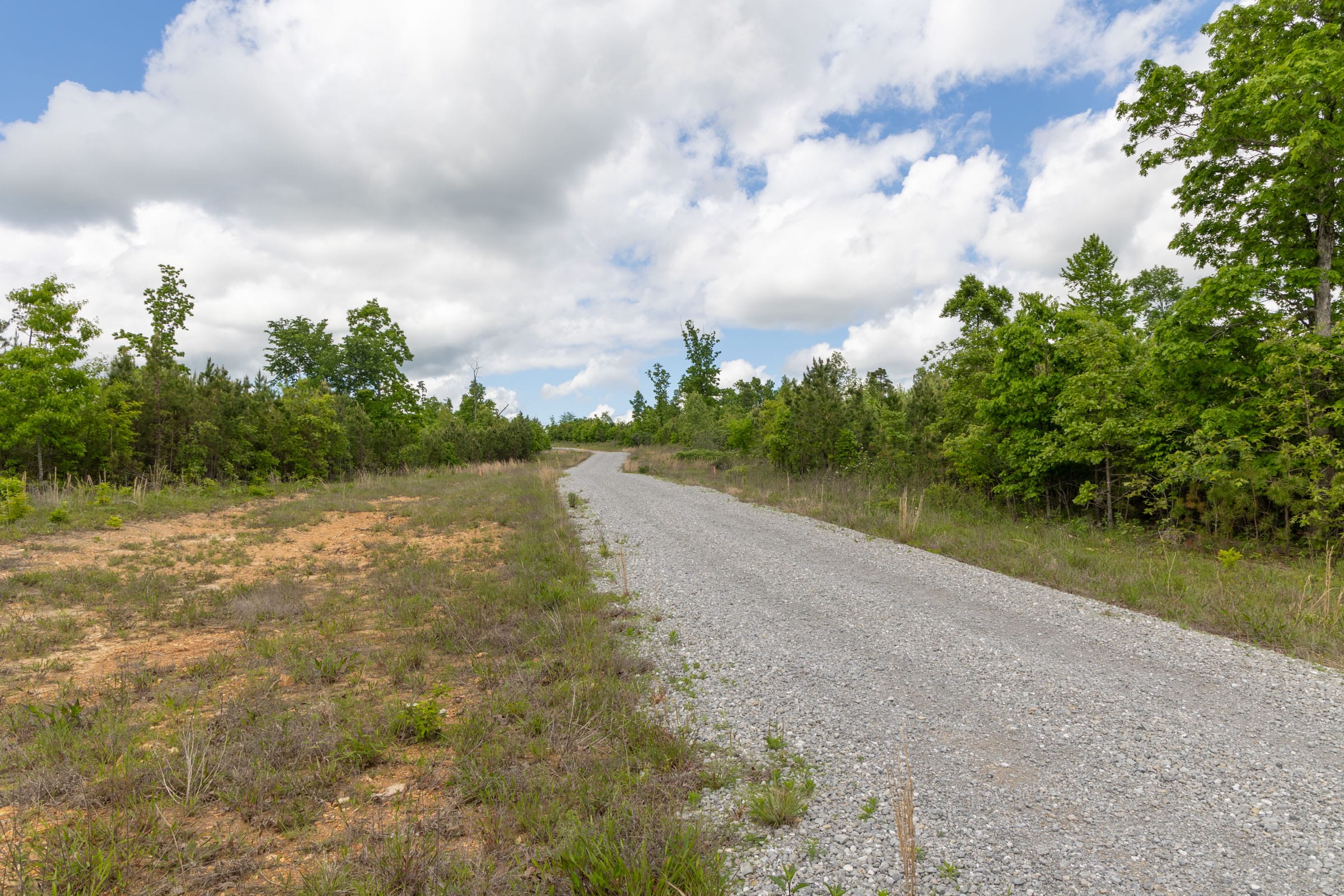 Sleepy Hollow Phase II Tract 97 photo 2