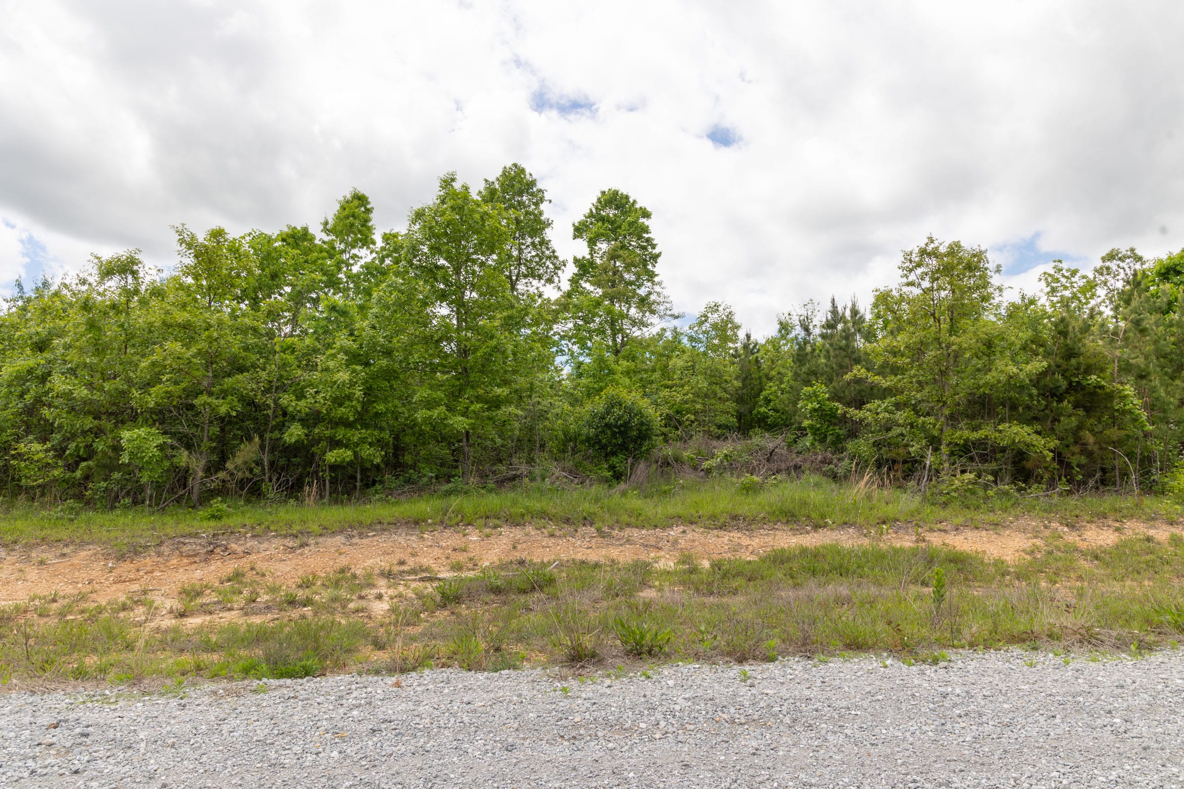 Sleepy Hollow Phase II Tract 97 photo 3