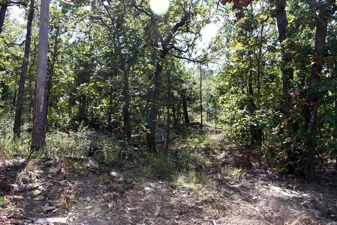 Lakeview Private Reserve Tract 12 photo 3
